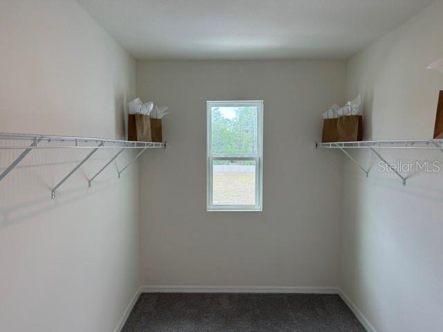 10507 TUCKER RD, WEEKI WACHEE, FL, 34613
