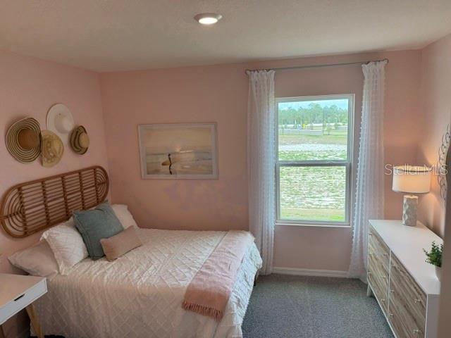 10507 TUCKER RD, WEEKI WACHEE, FL, 34613