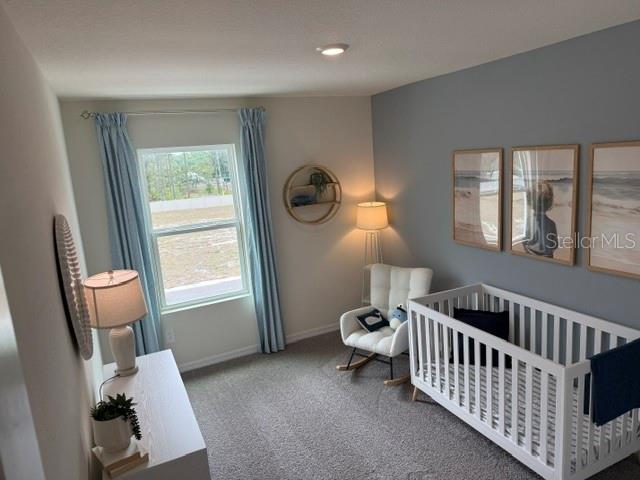 10507 TUCKER RD, WEEKI WACHEE, FL, 34613