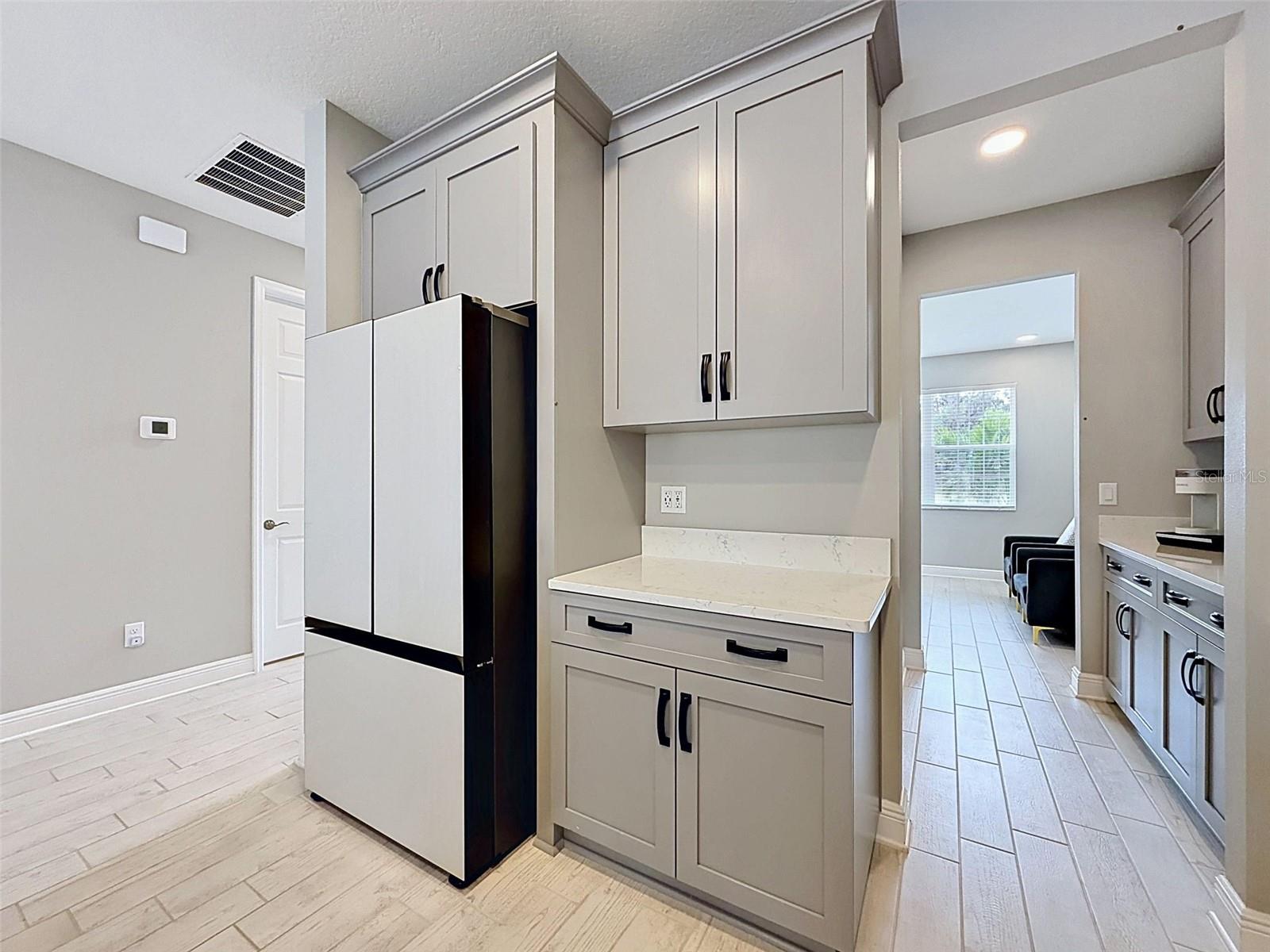 33163 SYCAMORE LEAF DR, WESLEY CHAPEL, FL, 33545