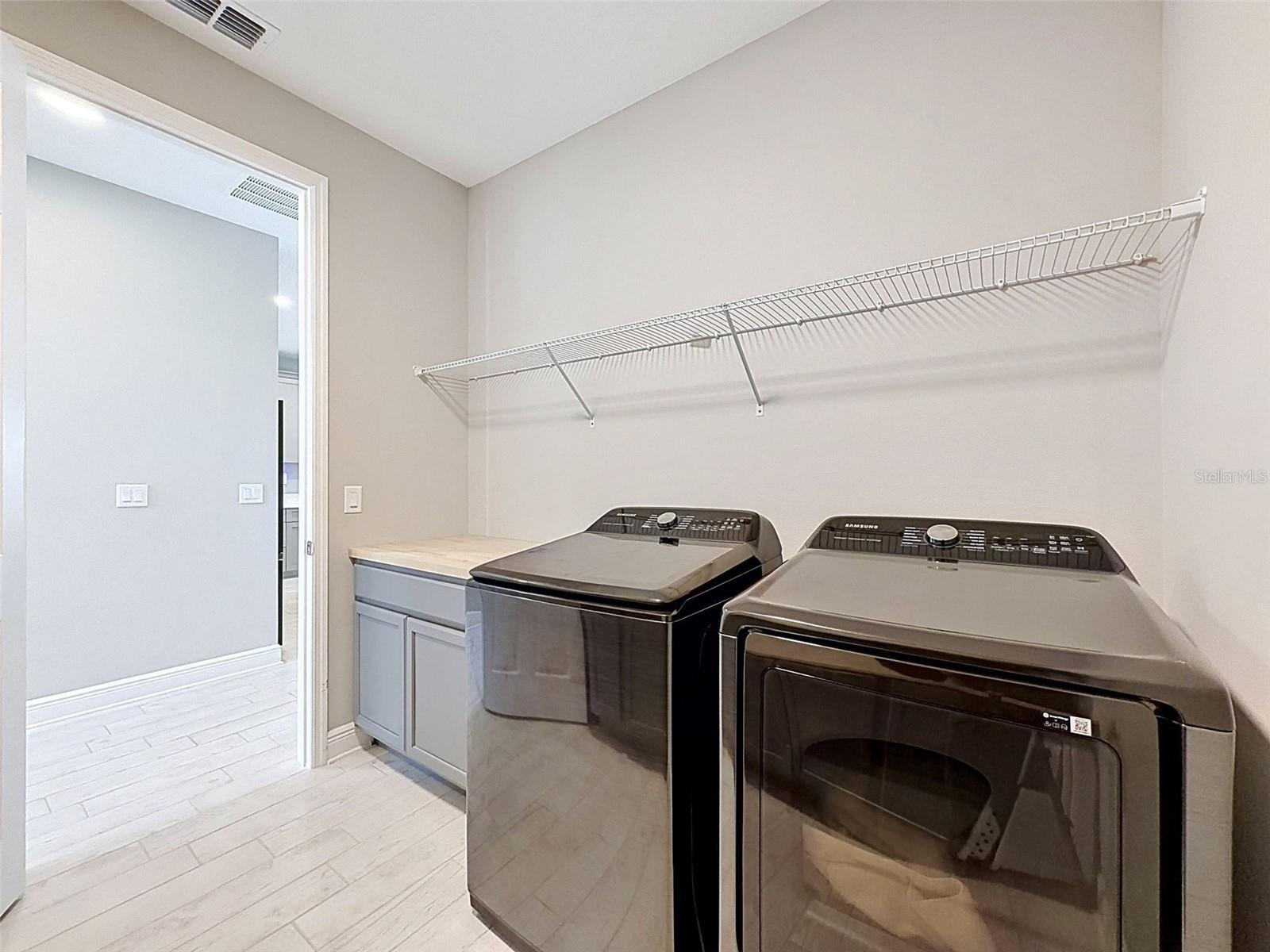 33163 SYCAMORE LEAF DR, WESLEY CHAPEL, FL, 33545