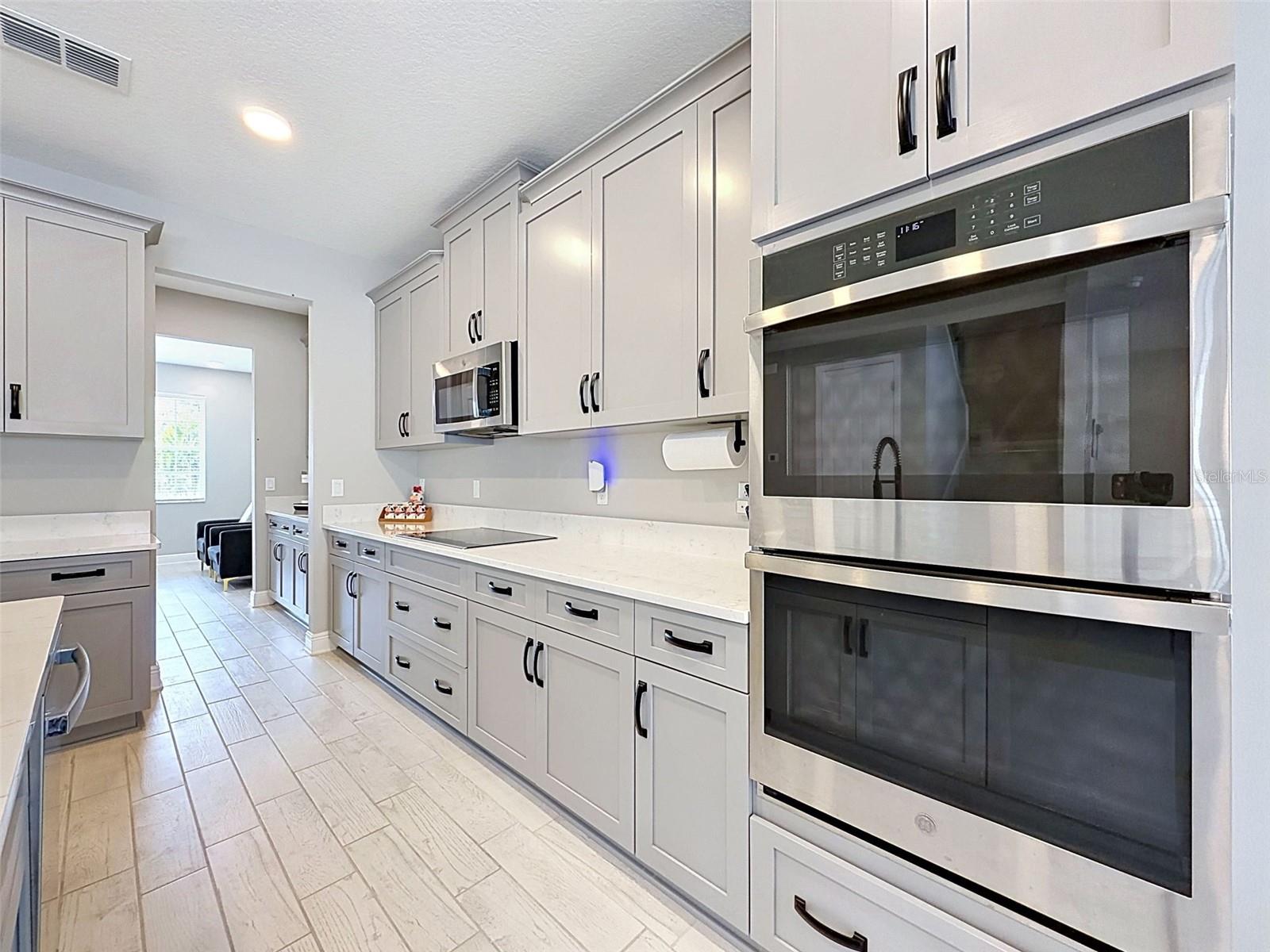 33163 SYCAMORE LEAF DR, WESLEY CHAPEL, FL, 33545