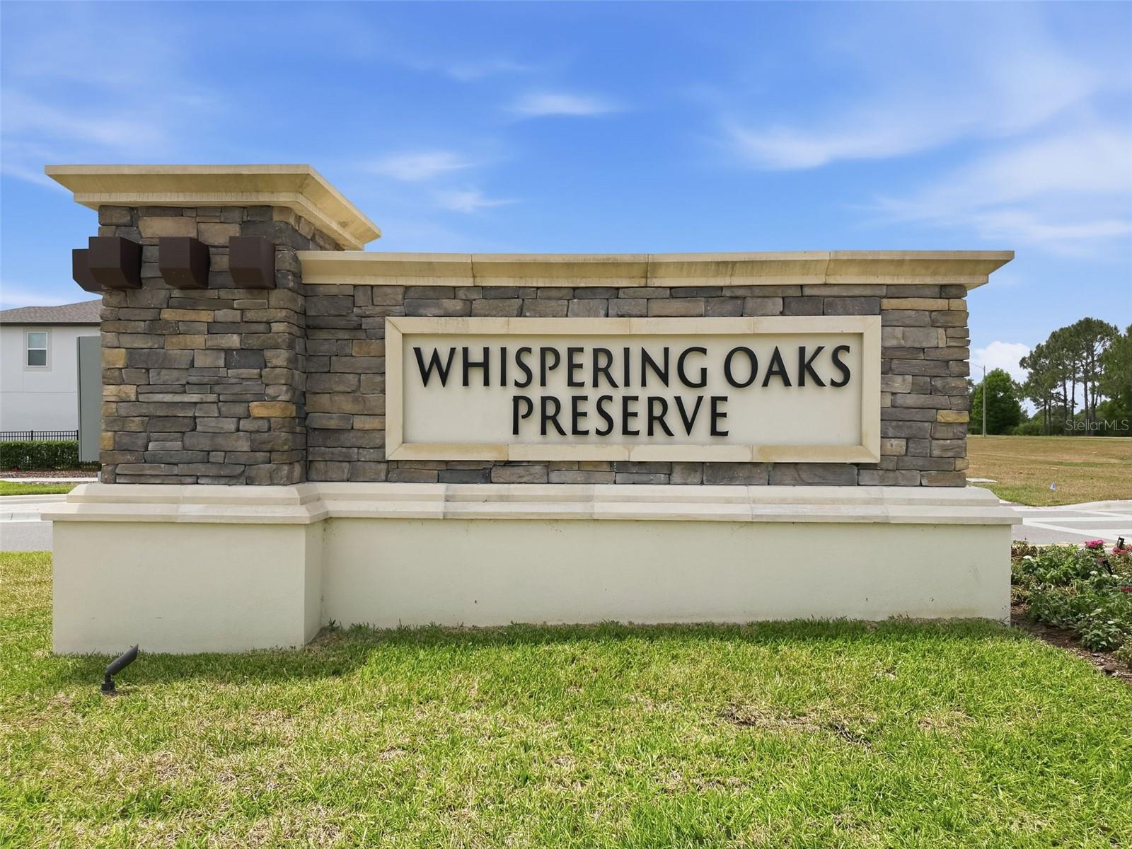 33163 SYCAMORE LEAF DR, WESLEY CHAPEL, FL, 33545