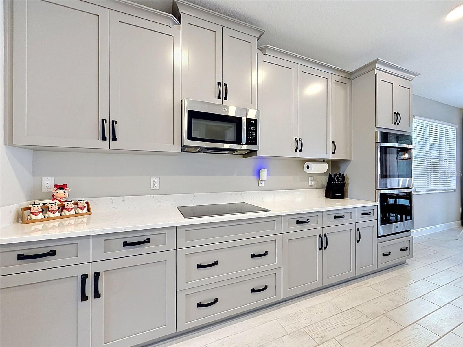 33163 SYCAMORE LEAF DR, WESLEY CHAPEL, FL, 33545