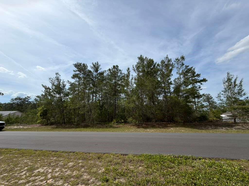 TBD SW 41ST CIR, OCALA, FL, 34473