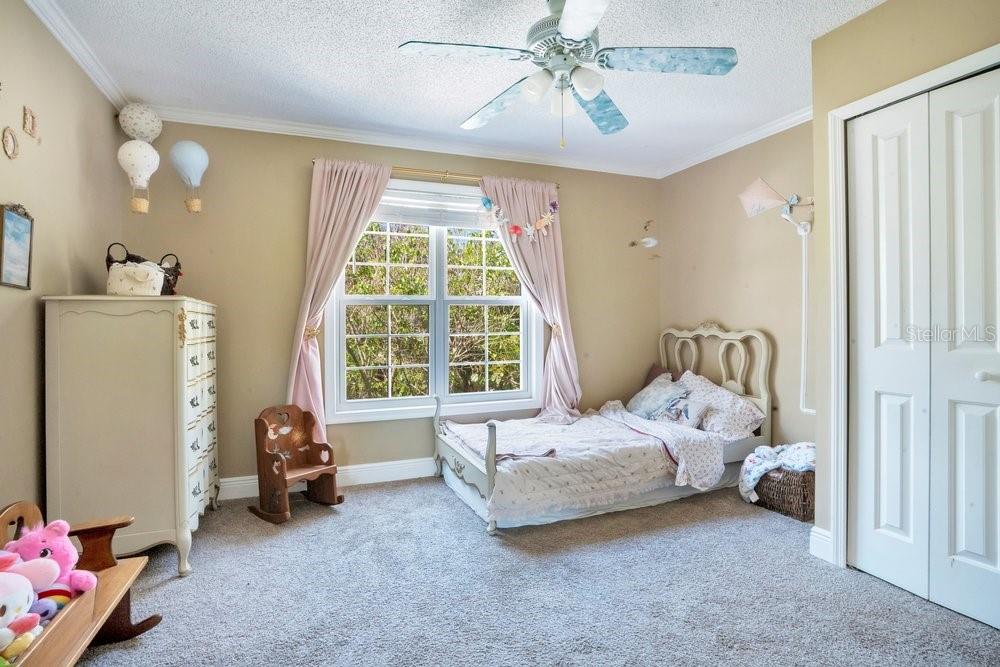 3858 SHORE BLVD, OLDSMAR, FL, 34677