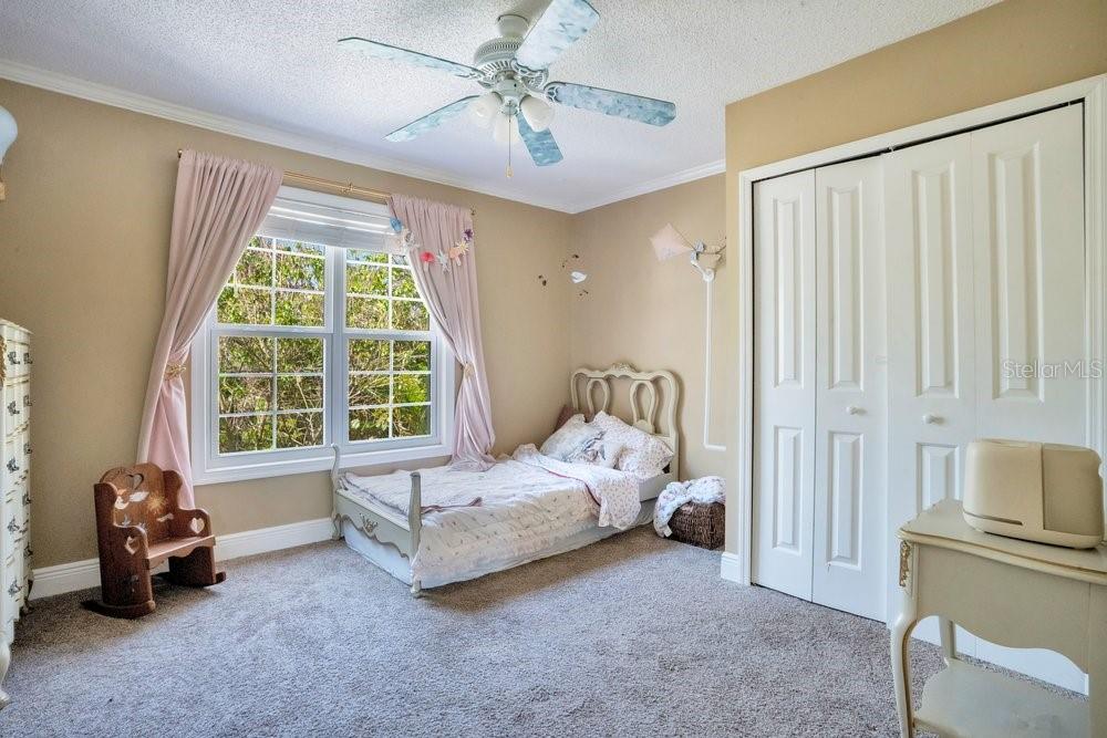 3858 SHORE BLVD, OLDSMAR, FL, 34677