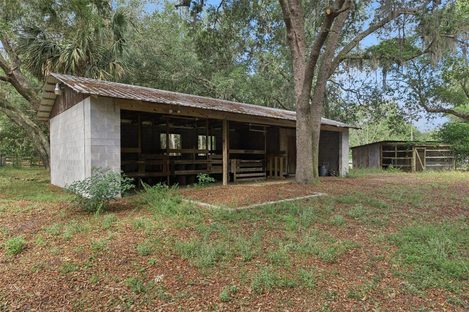 1142 BUCKLES RD, PIERSON, FL, 32180