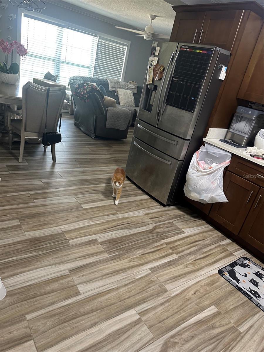 1623 WAVECREST ST, MERRITT ISLAND, FL, 32952