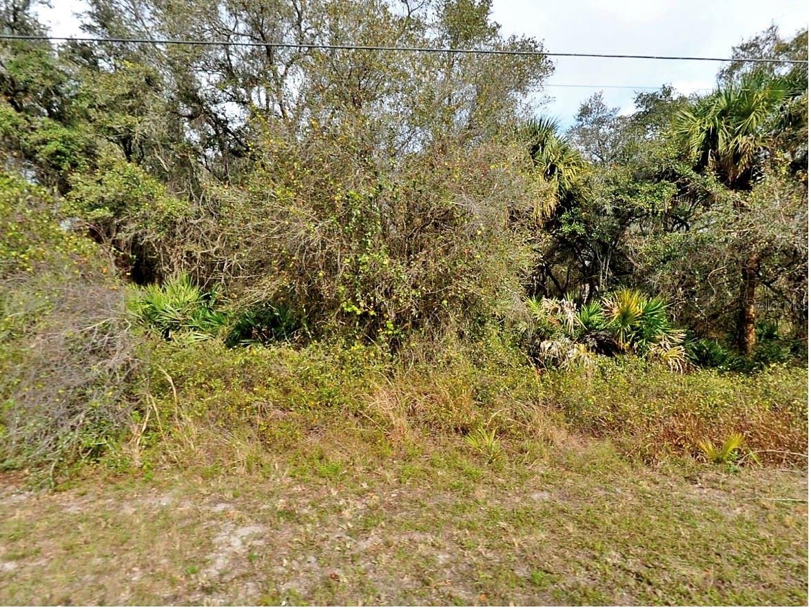 FLING AVE., NORTH PORT, FL, 34291