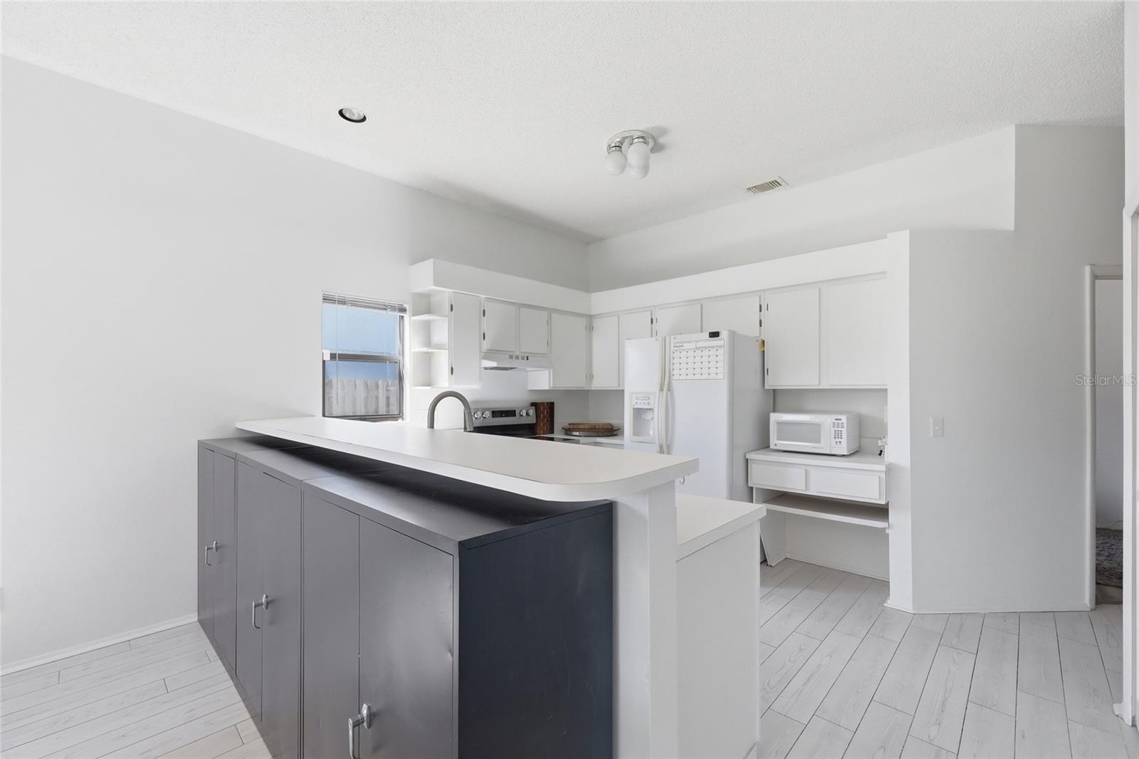 10137 PINK CARNATION CT, ORLANDO, FL, 32825