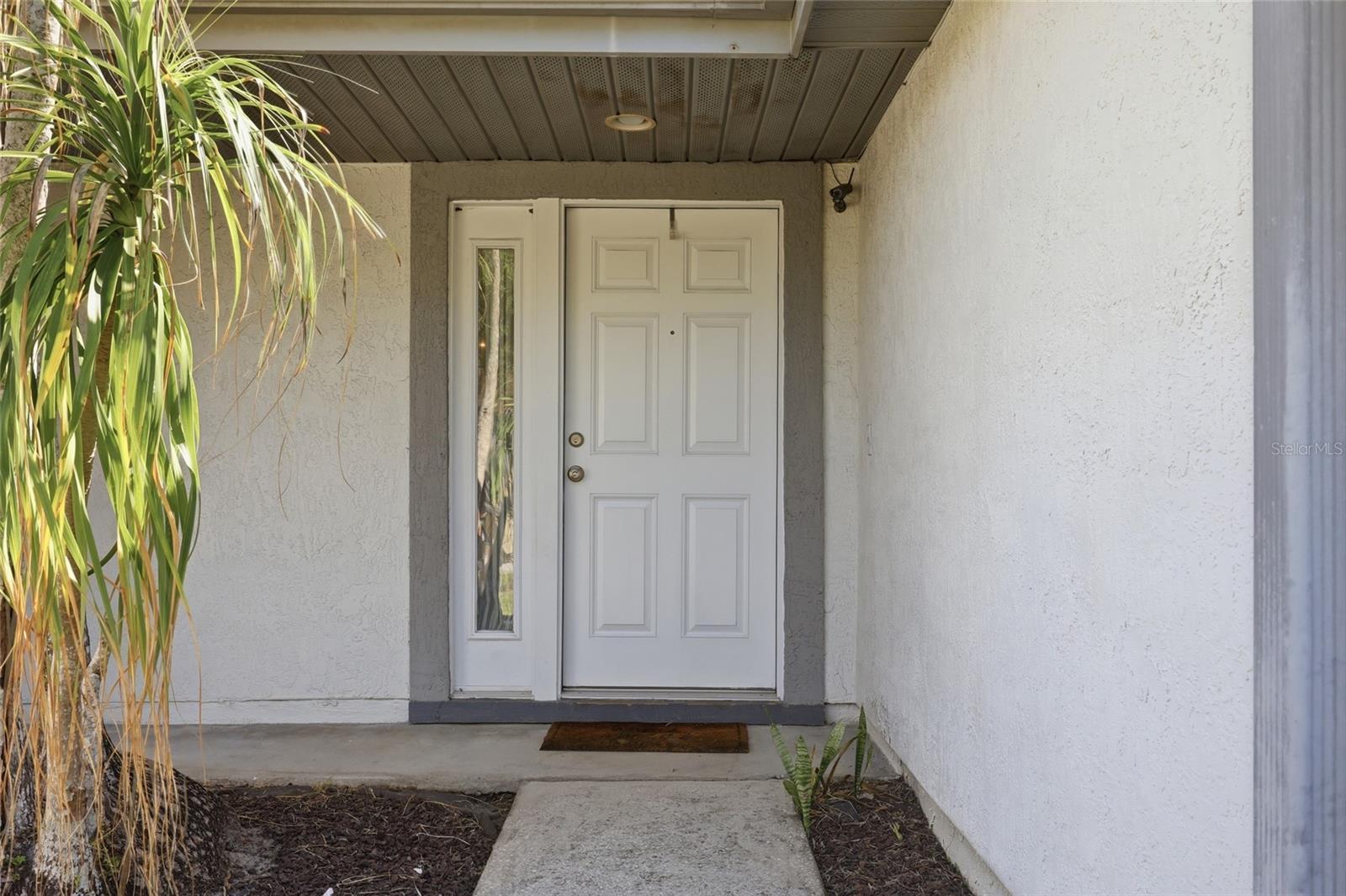 10137 PINK CARNATION CT, ORLANDO, FL, 32825