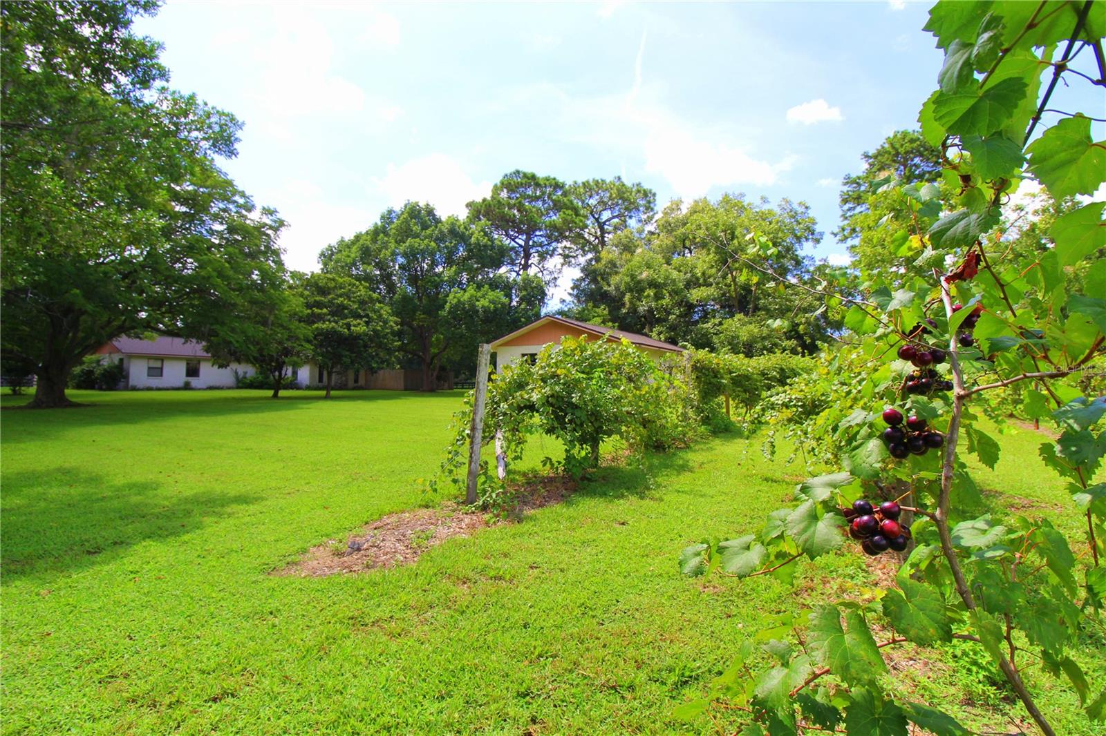 8440 SW 73RD AVE, OCALA, FL, 34476