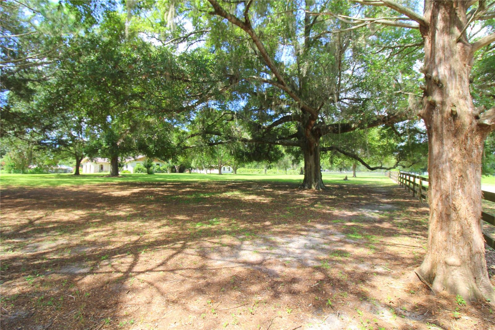 8440 SW 73RD AVE, OCALA, FL, 34476