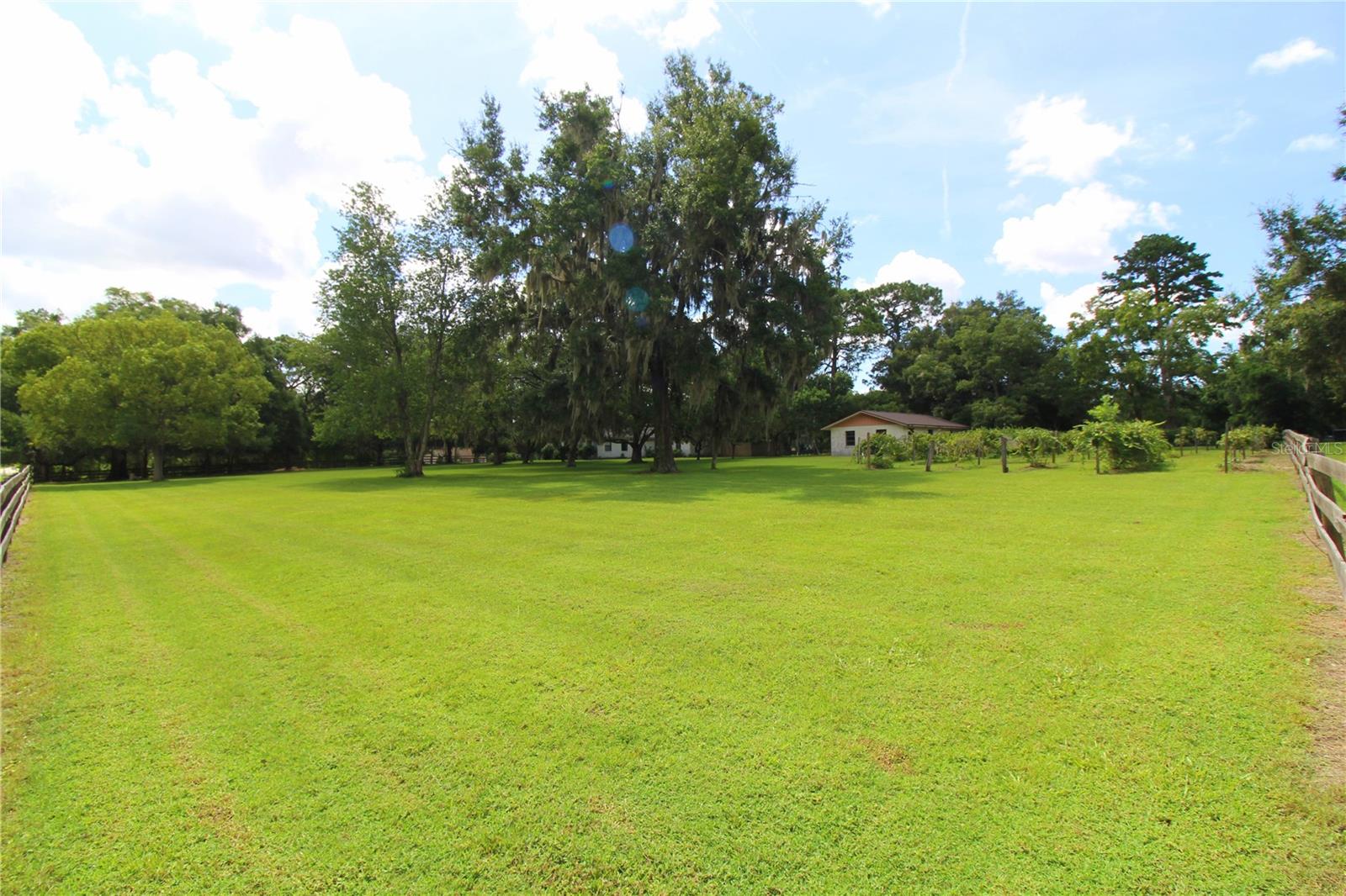 8440 SW 73RD AVE, OCALA, FL, 34476
