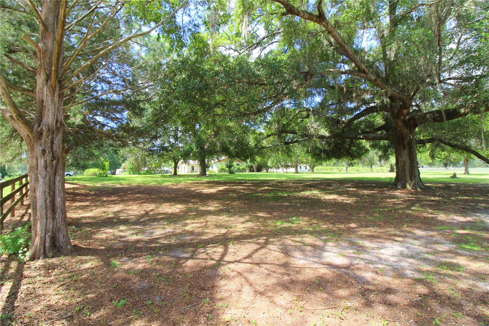 8440 SW 73RD AVE, OCALA, FL, 34476