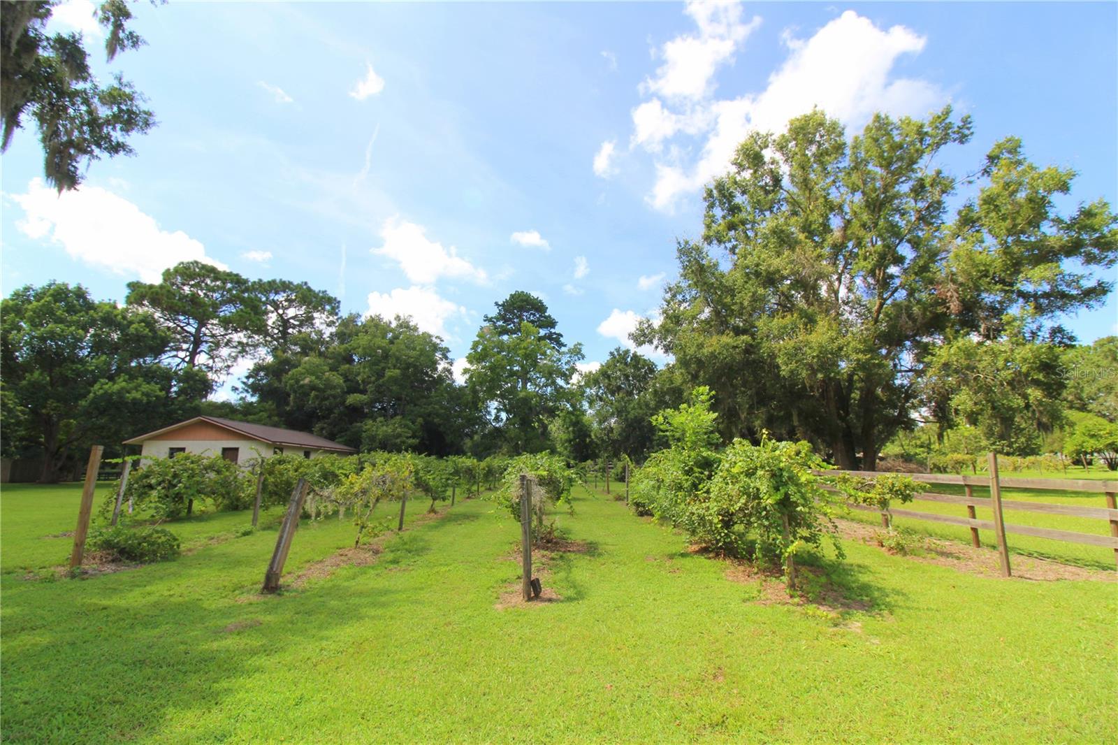 8440 SW 73RD AVE, OCALA, FL, 34476