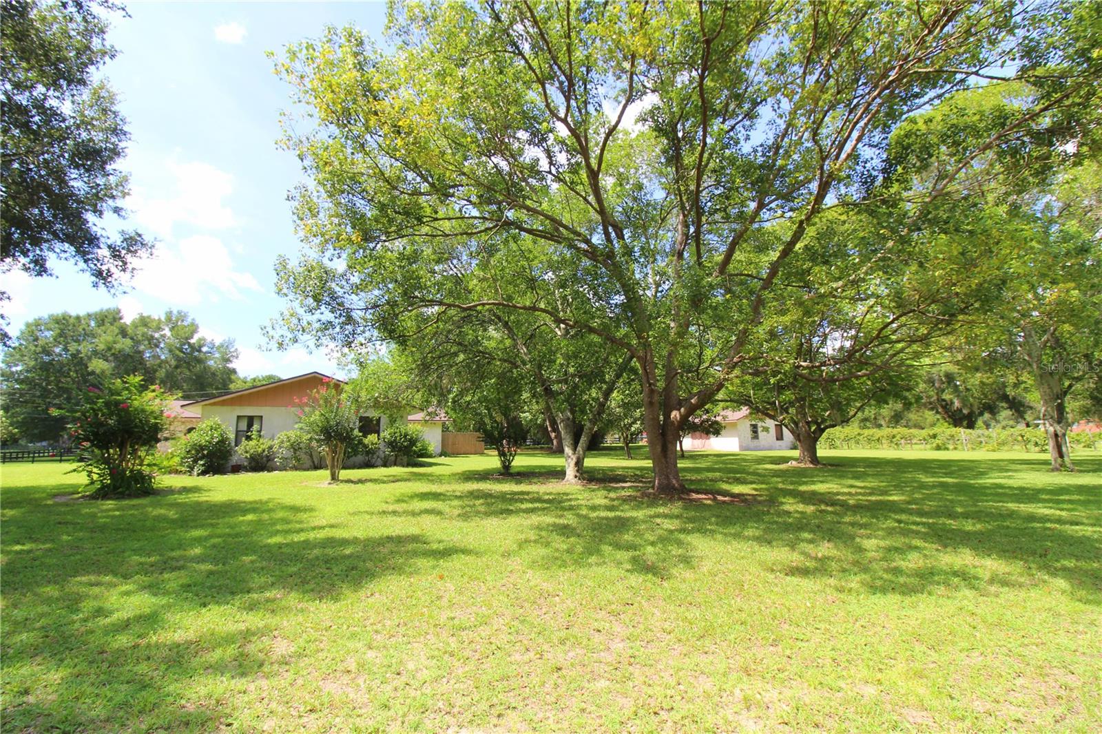 8440 SW 73RD AVE, OCALA, FL, 34476