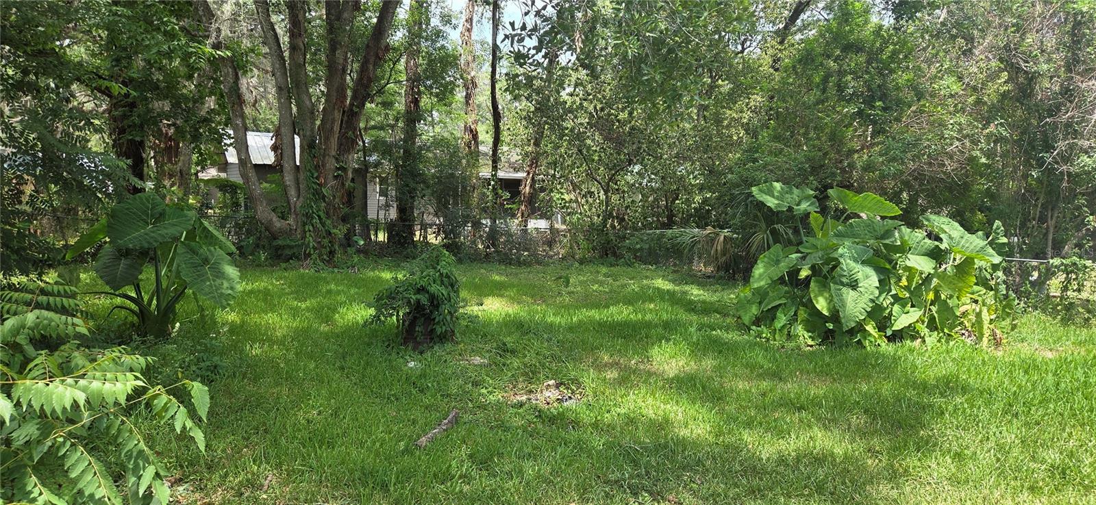 20055 RUTH ST, BROOKSVILLE, FL, 34601