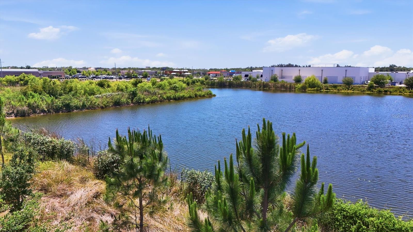 12909 DREAM CATCHER WAY, RIVERVIEW, FL, 33579