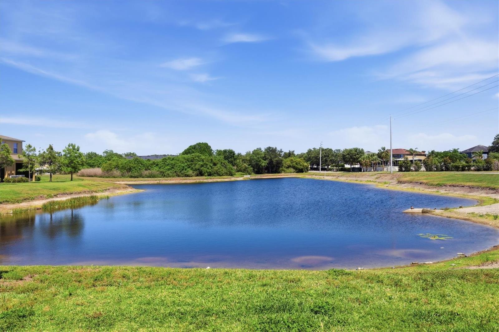 12909 DREAM CATCHER WAY, RIVERVIEW, FL, 33579