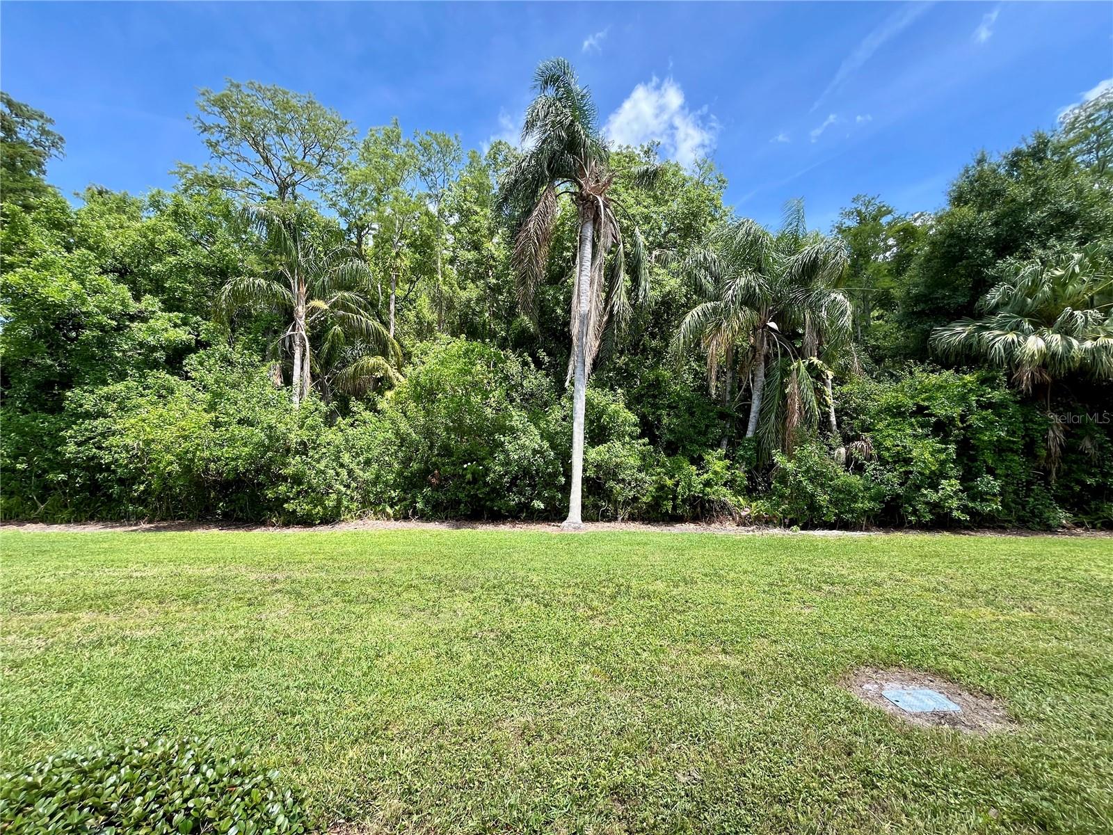 2391 SUMATRAN WAY #17, CLEARWATER, FL, 33763