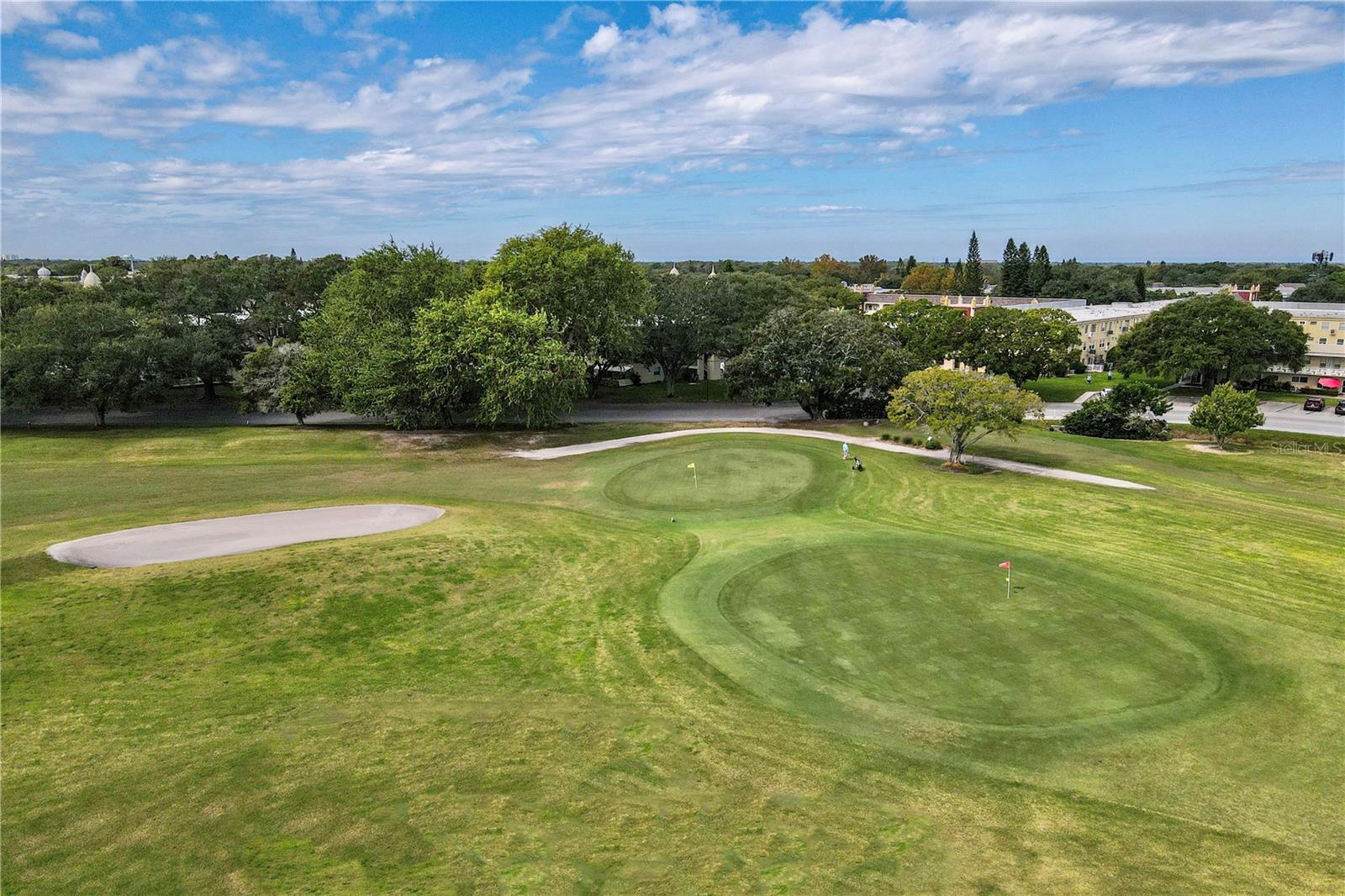 2391 SUMATRAN WAY #17, CLEARWATER, FL, 33763