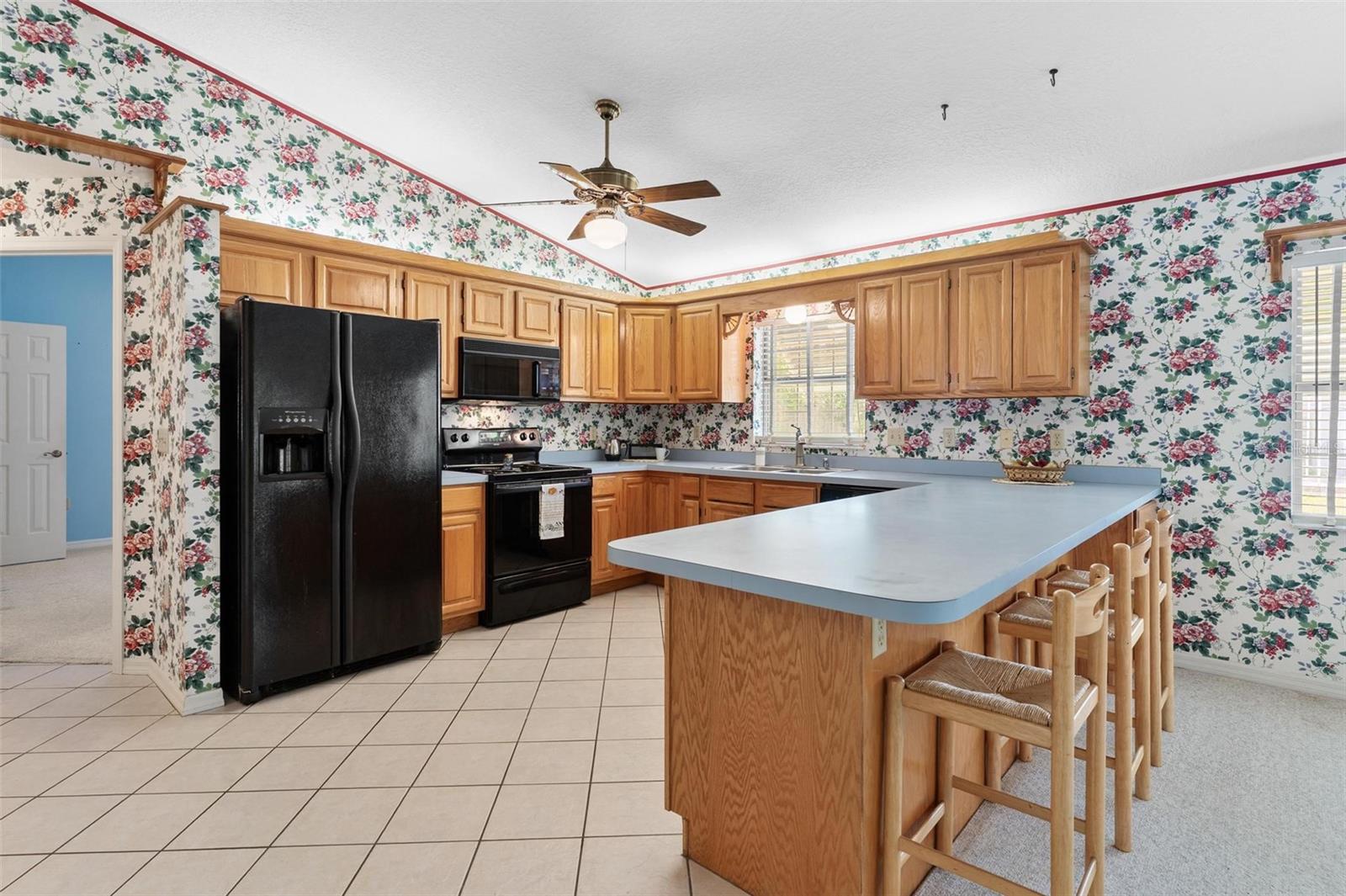 1 BONAIRE PL, UMATILLA, FL, 32784