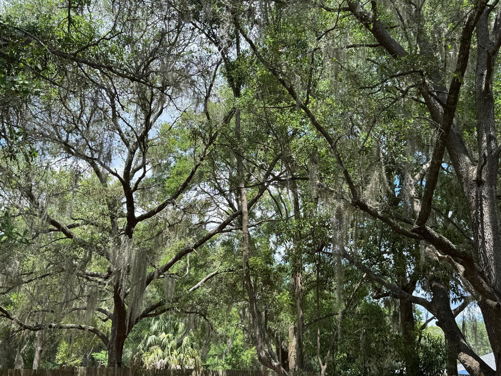 1639 SPRING LAKE RD, FRUITLAND PARK, FL, 34731