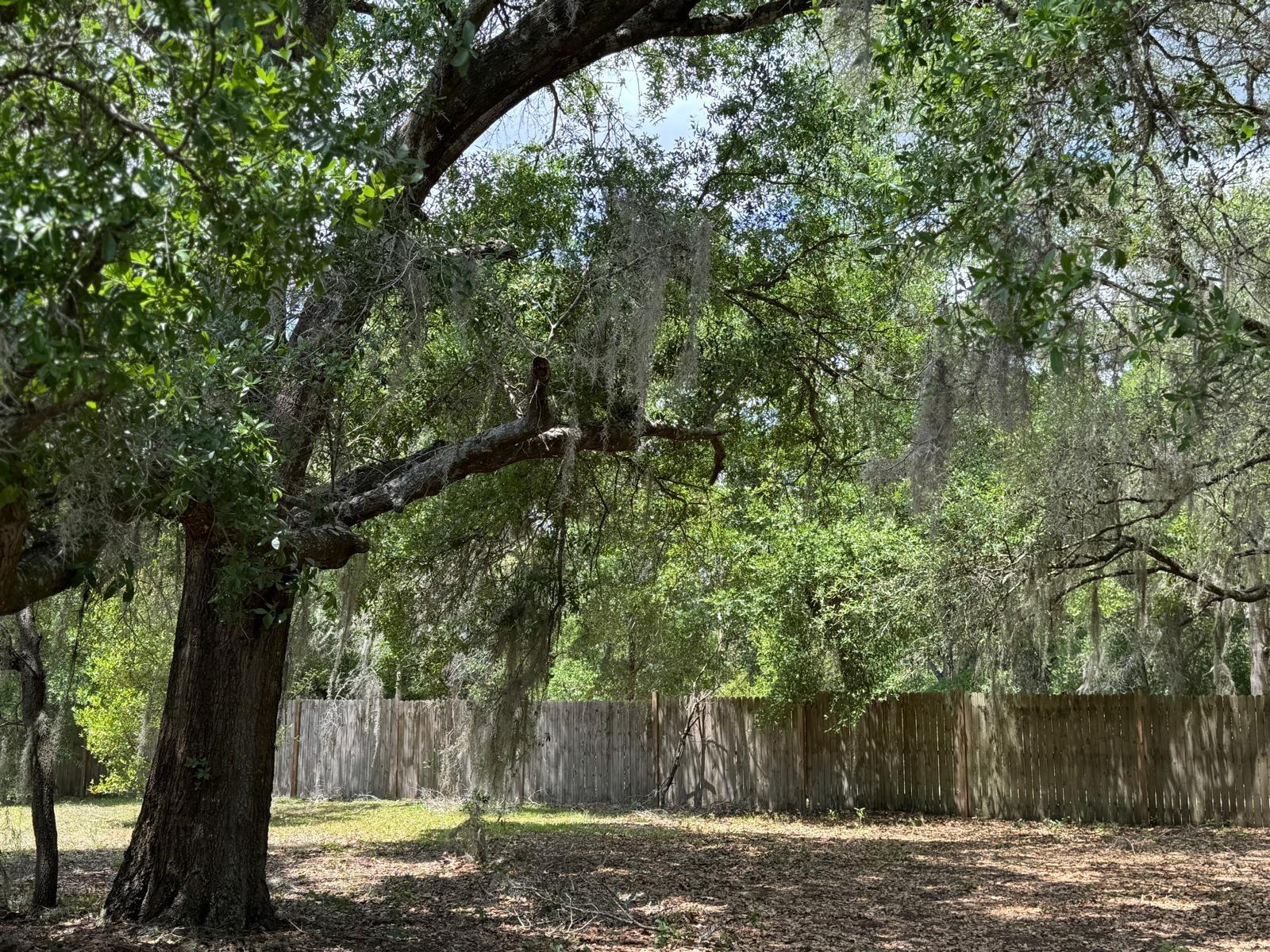 1639 SPRING LAKE RD, FRUITLAND PARK, FL, 34731