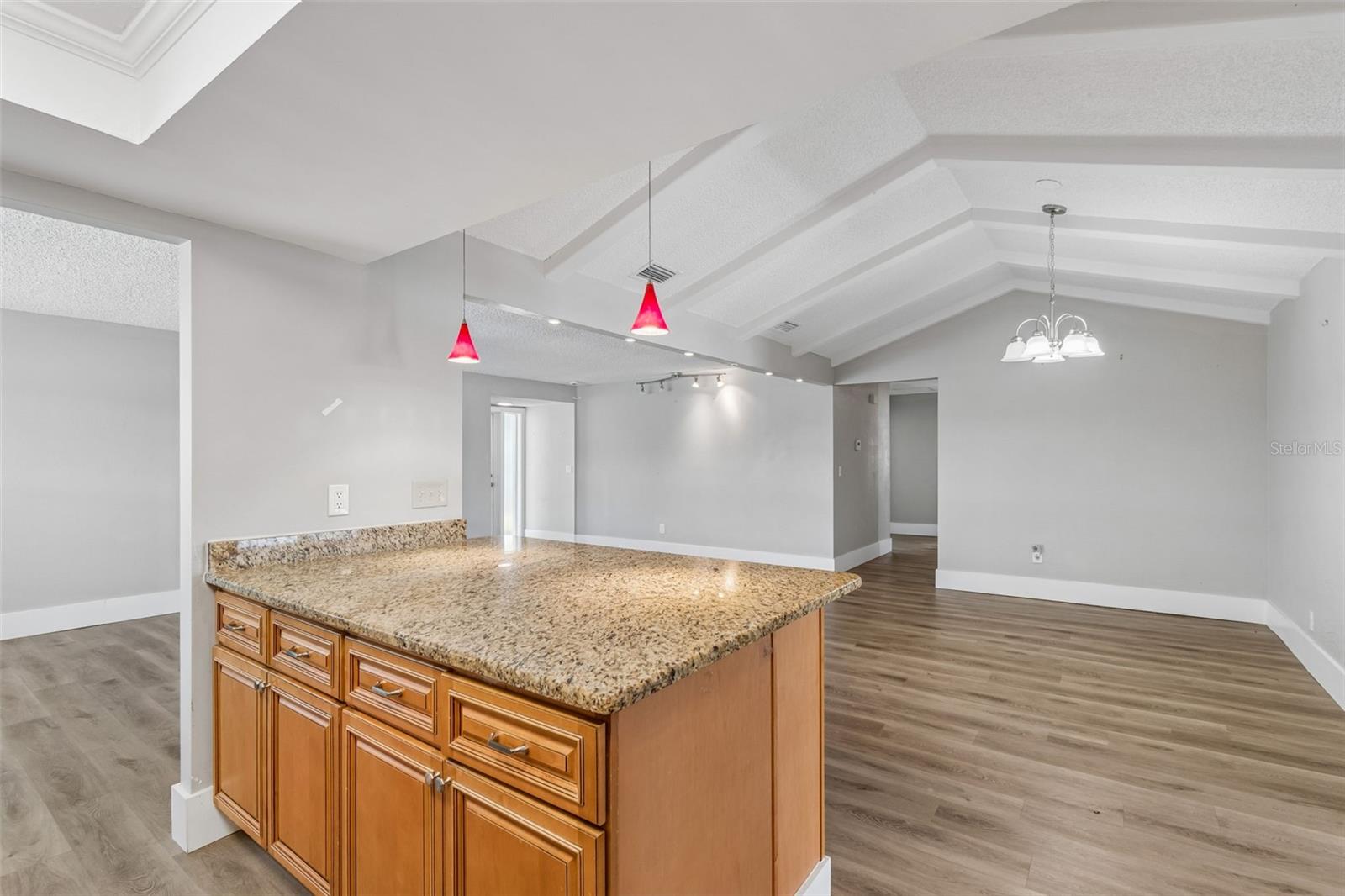 13691 SERENA DR, LARGO, FL, 33774