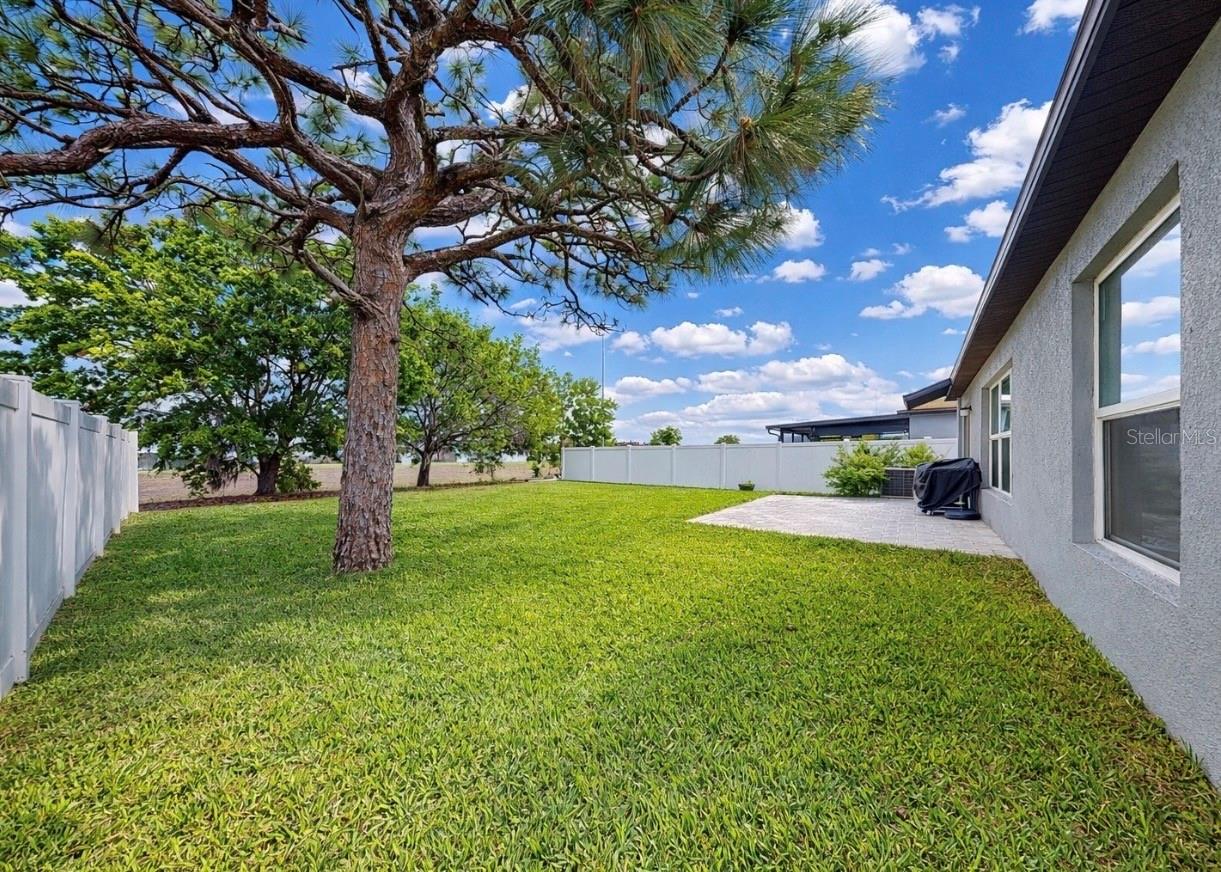 13256 GREAT PLAINS DR, RIVERVIEW, FL, 33579
