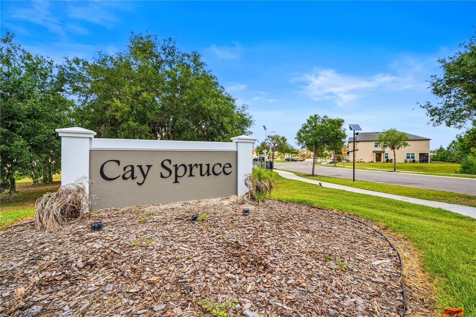 11240 CAY SPRUCE WAY, SAN ANTONIO, FL, 33576