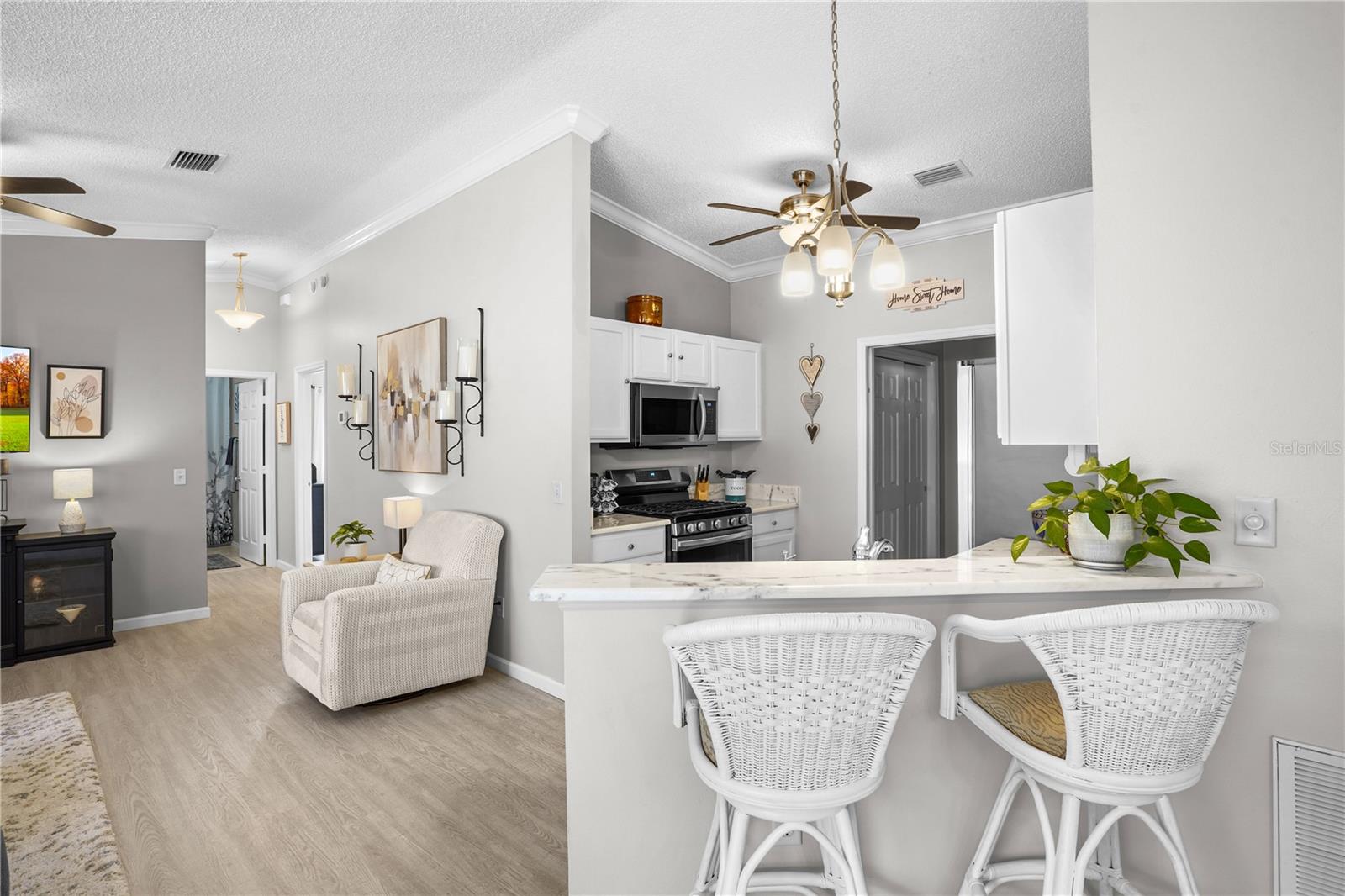 433 CANTERBURY CT, THE VILLAGES, FL, 32162