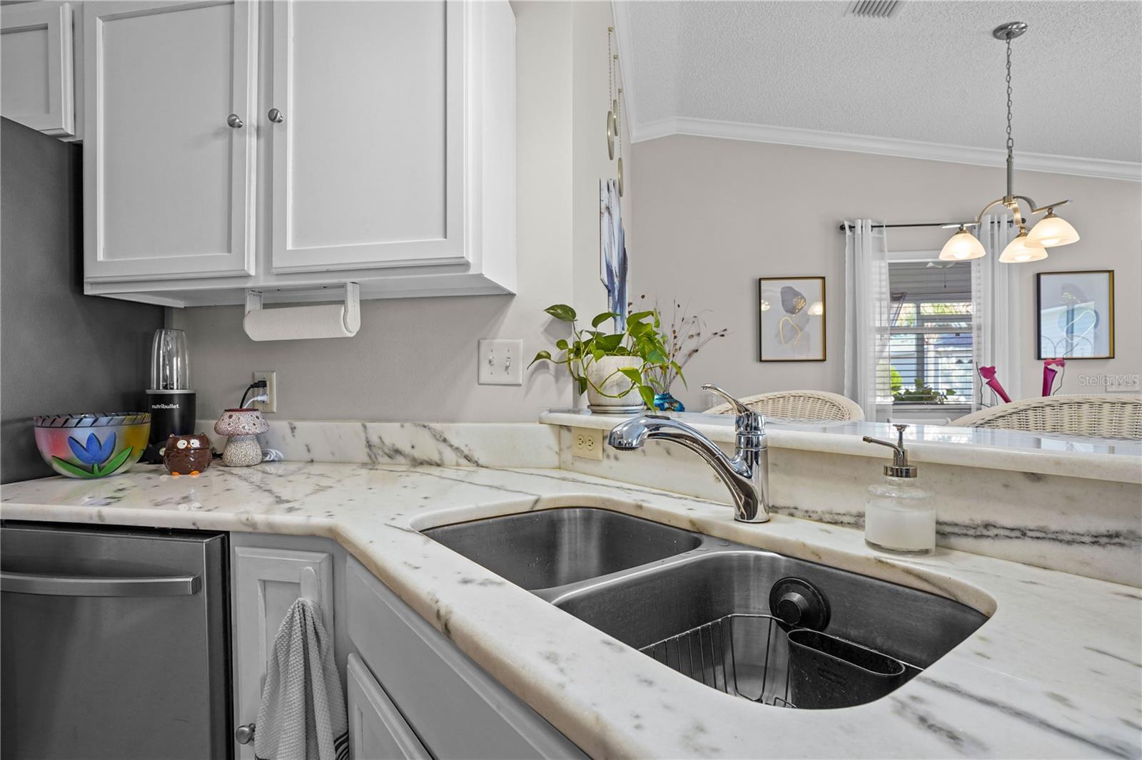 433 CANTERBURY CT, THE VILLAGES, FL, 32162