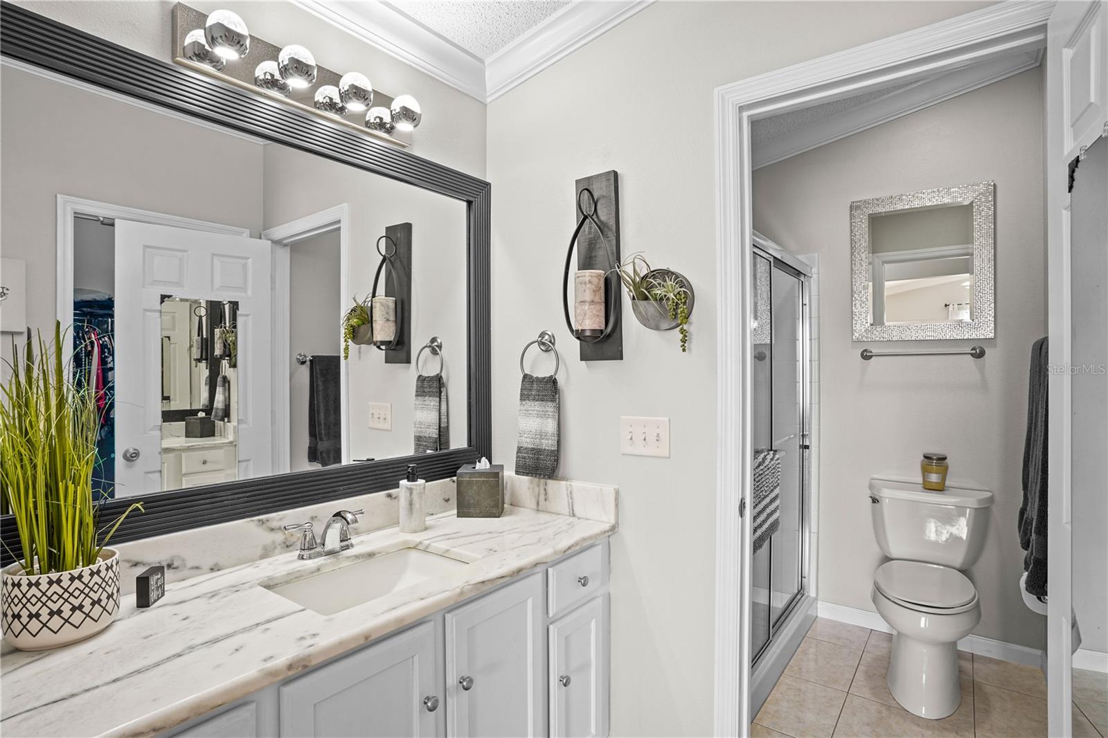 433 CANTERBURY CT, THE VILLAGES, FL, 32162