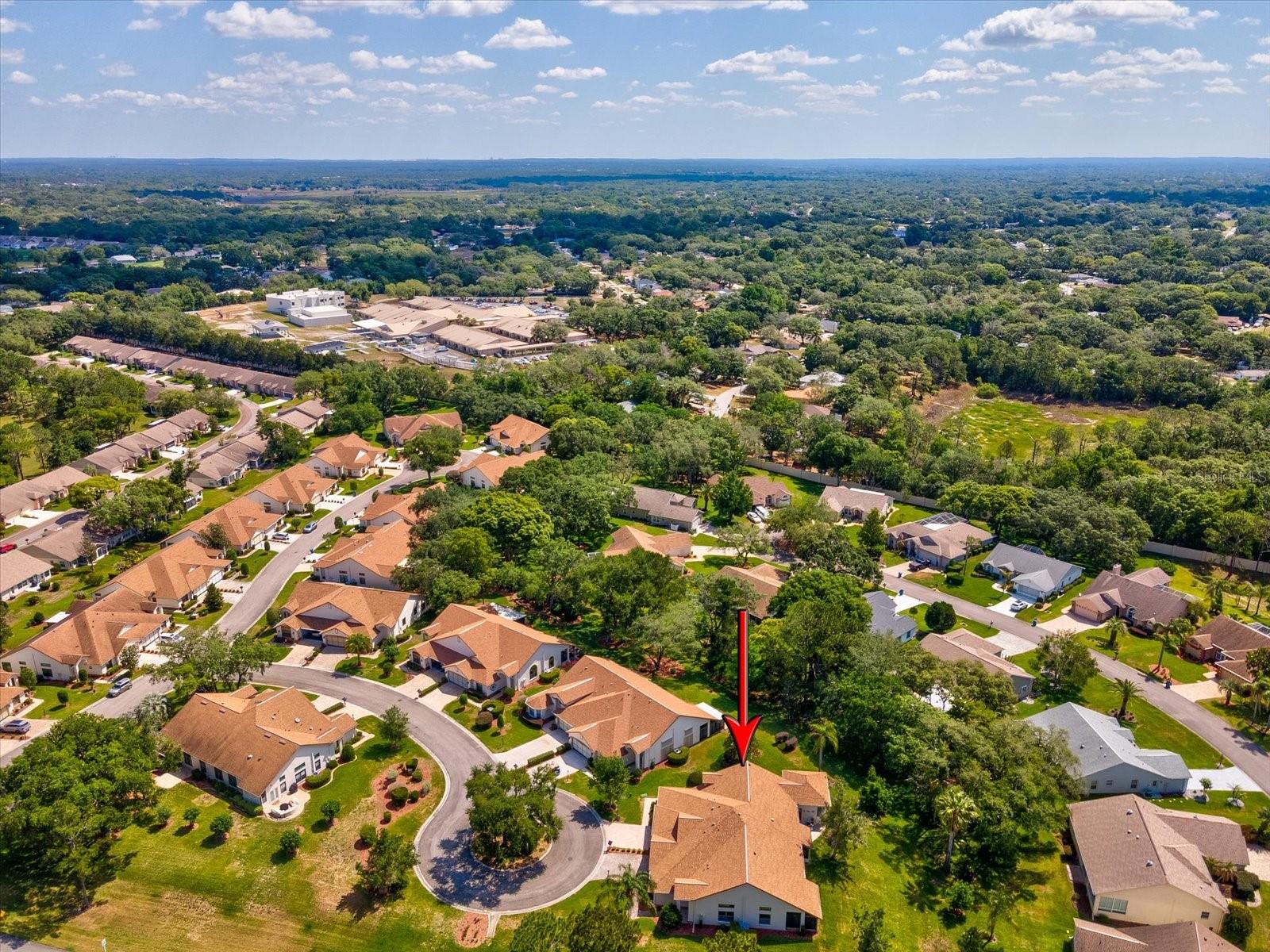 1462 SHADY BROOK CT, SPRING HILL, FL, 34606