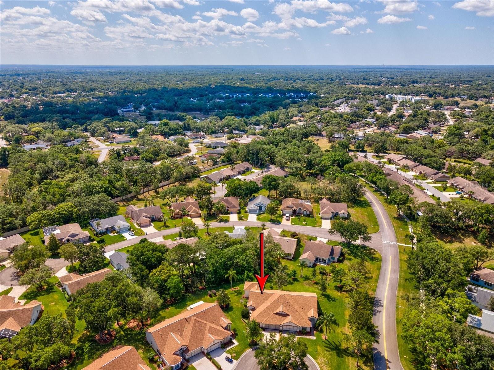 1462 SHADY BROOK CT, SPRING HILL, FL, 34606