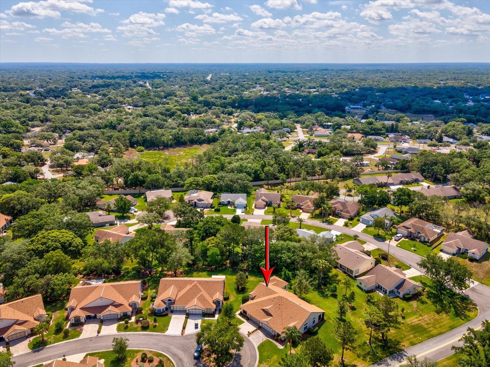 1462 SHADY BROOK CT, SPRING HILL, FL, 34606
