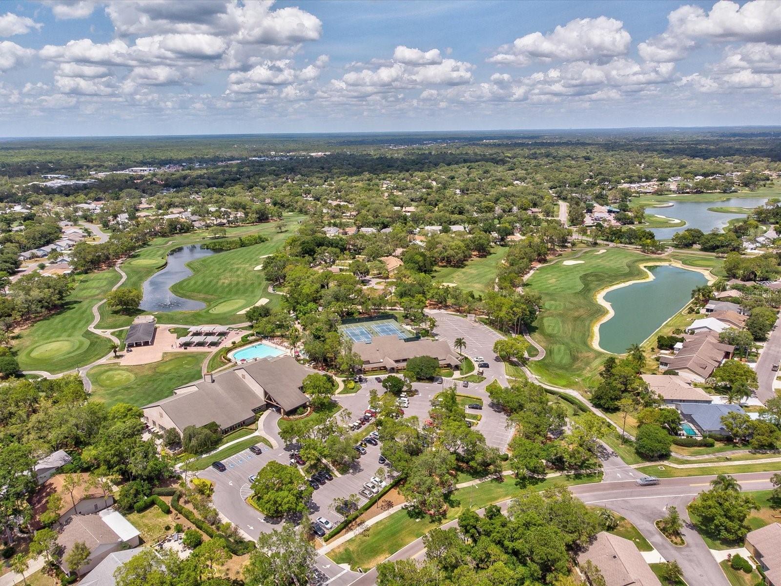 1462 SHADY BROOK CT, SPRING HILL, FL, 34606