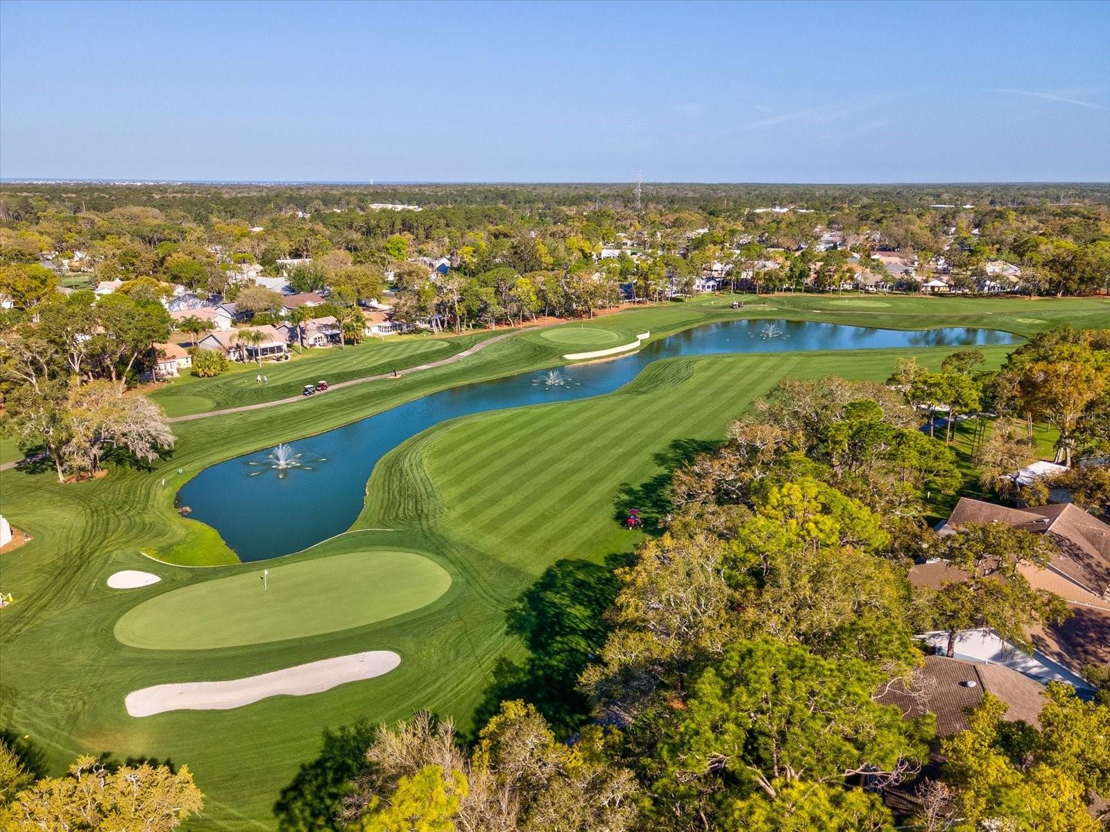 1462 SHADY BROOK CT, SPRING HILL, FL, 34606