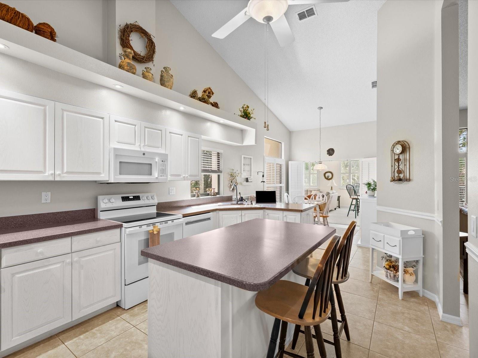 1462 SHADY BROOK CT, SPRING HILL, FL, 34606