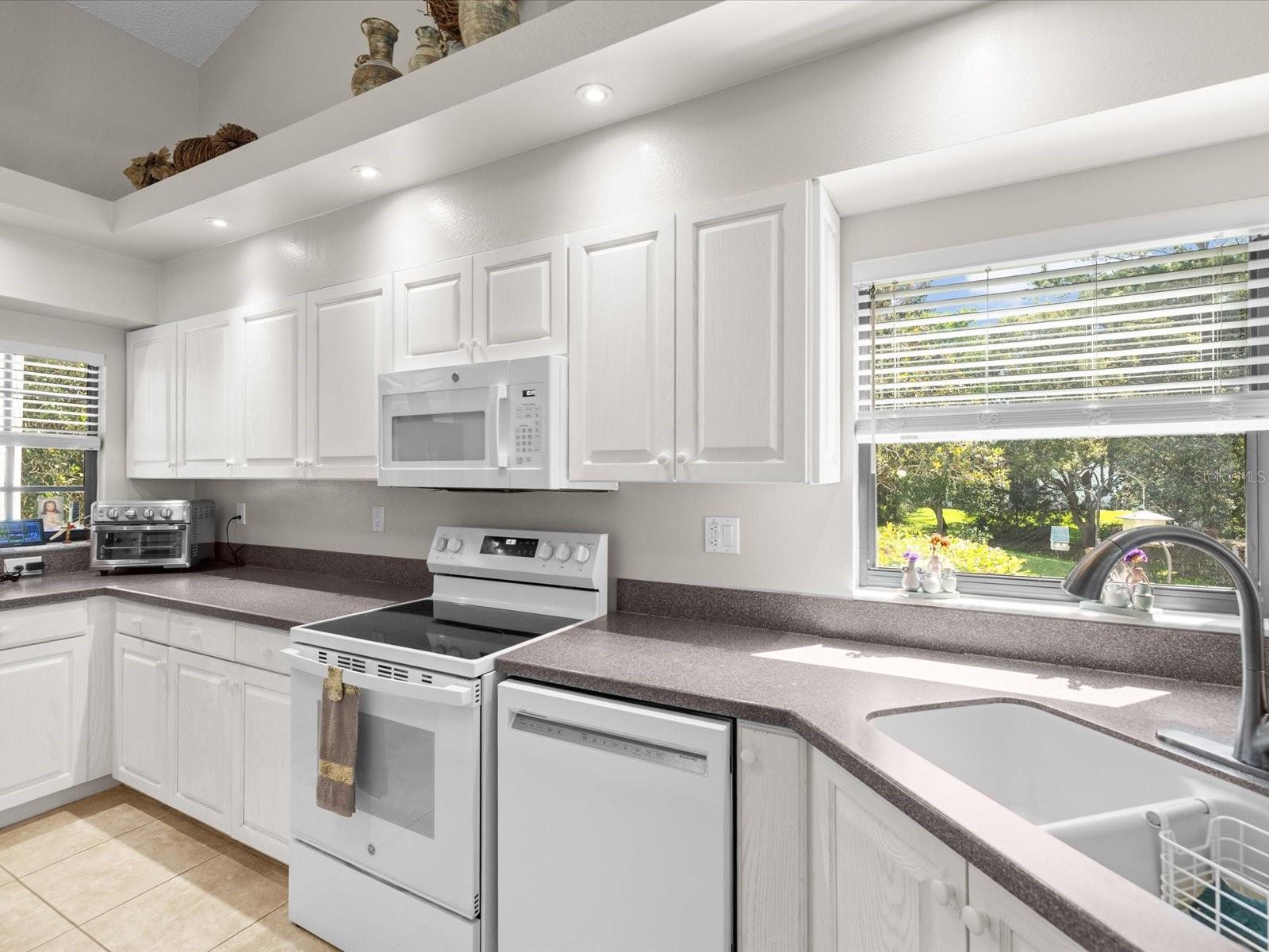 1462 SHADY BROOK CT, SPRING HILL, FL, 34606