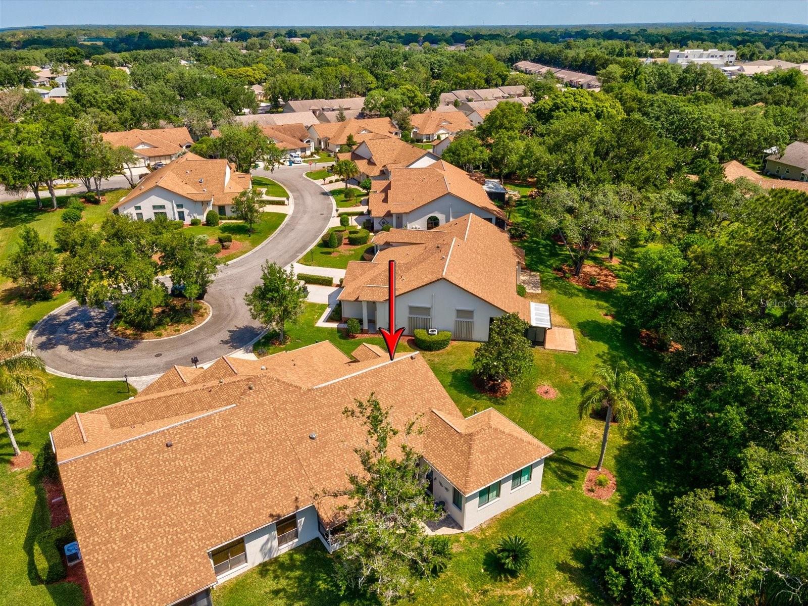 1462 SHADY BROOK CT, SPRING HILL, FL, 34606