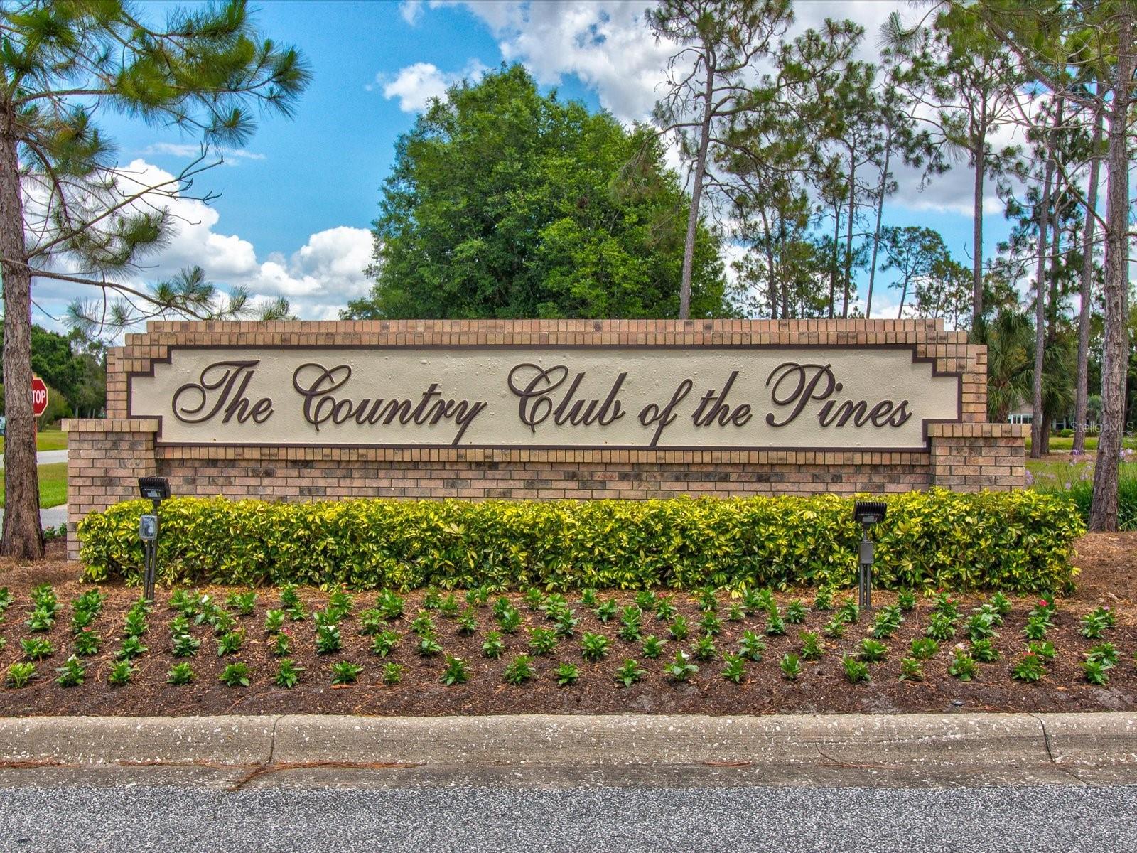 1462 SHADY BROOK CT, SPRING HILL, FL, 34606