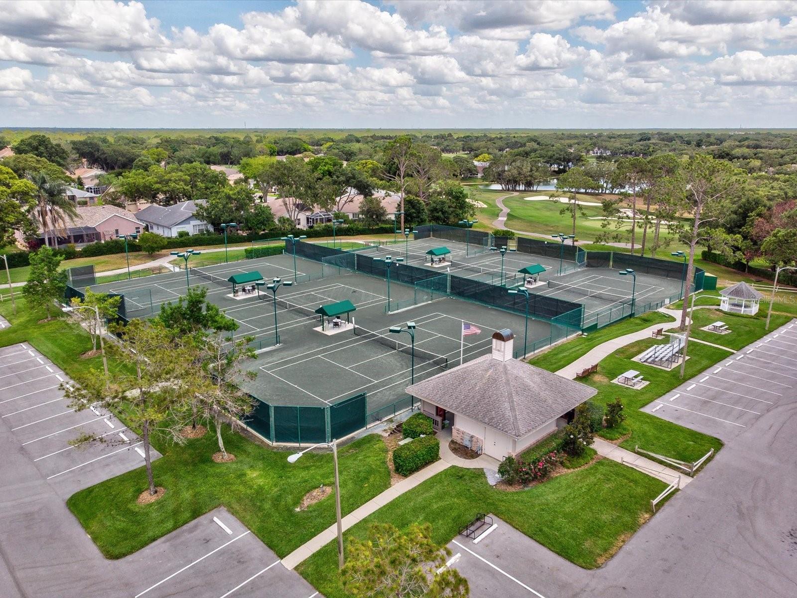 1462 SHADY BROOK CT, SPRING HILL, FL, 34606
