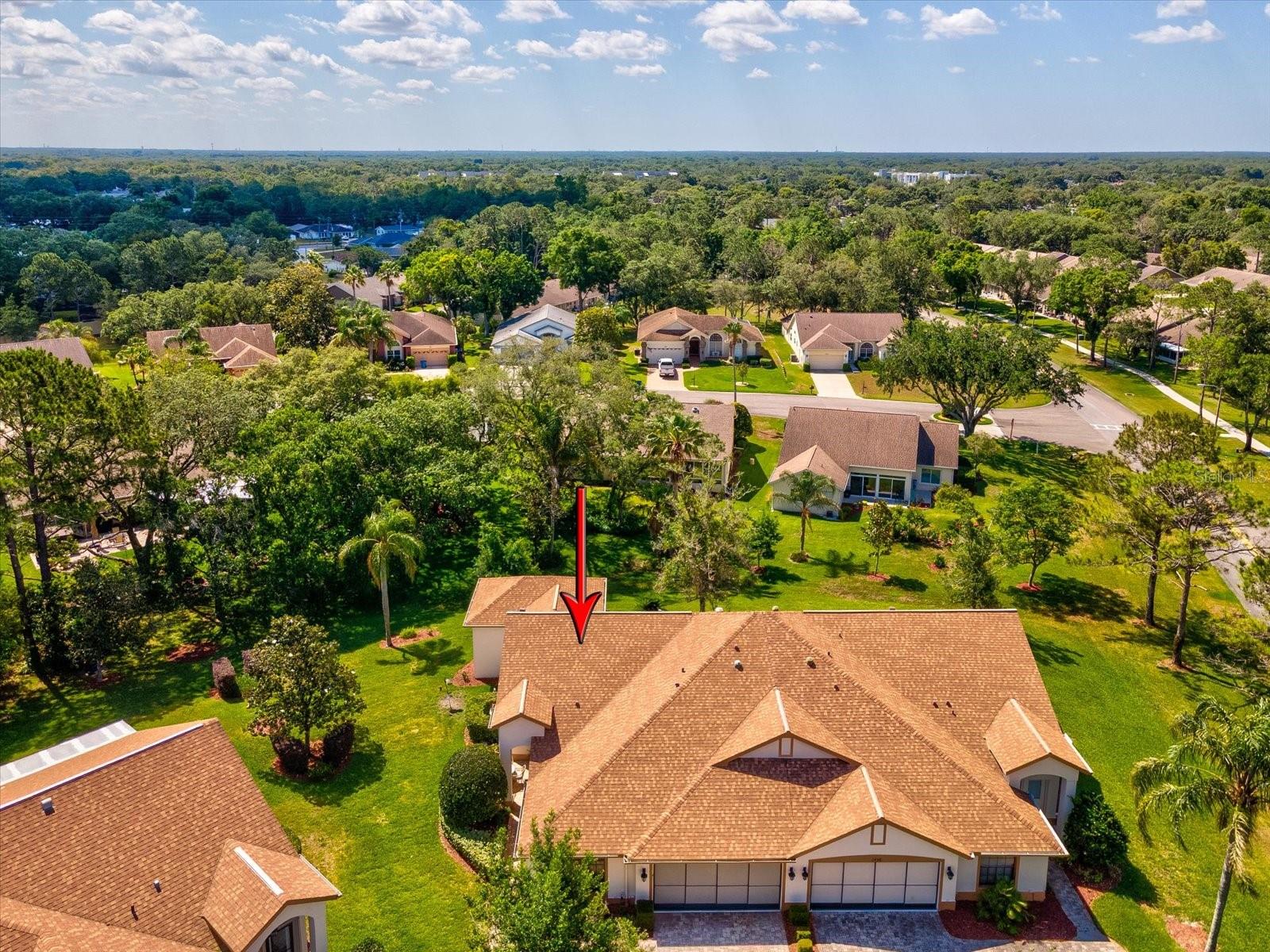 1462 SHADY BROOK CT, SPRING HILL, FL, 34606