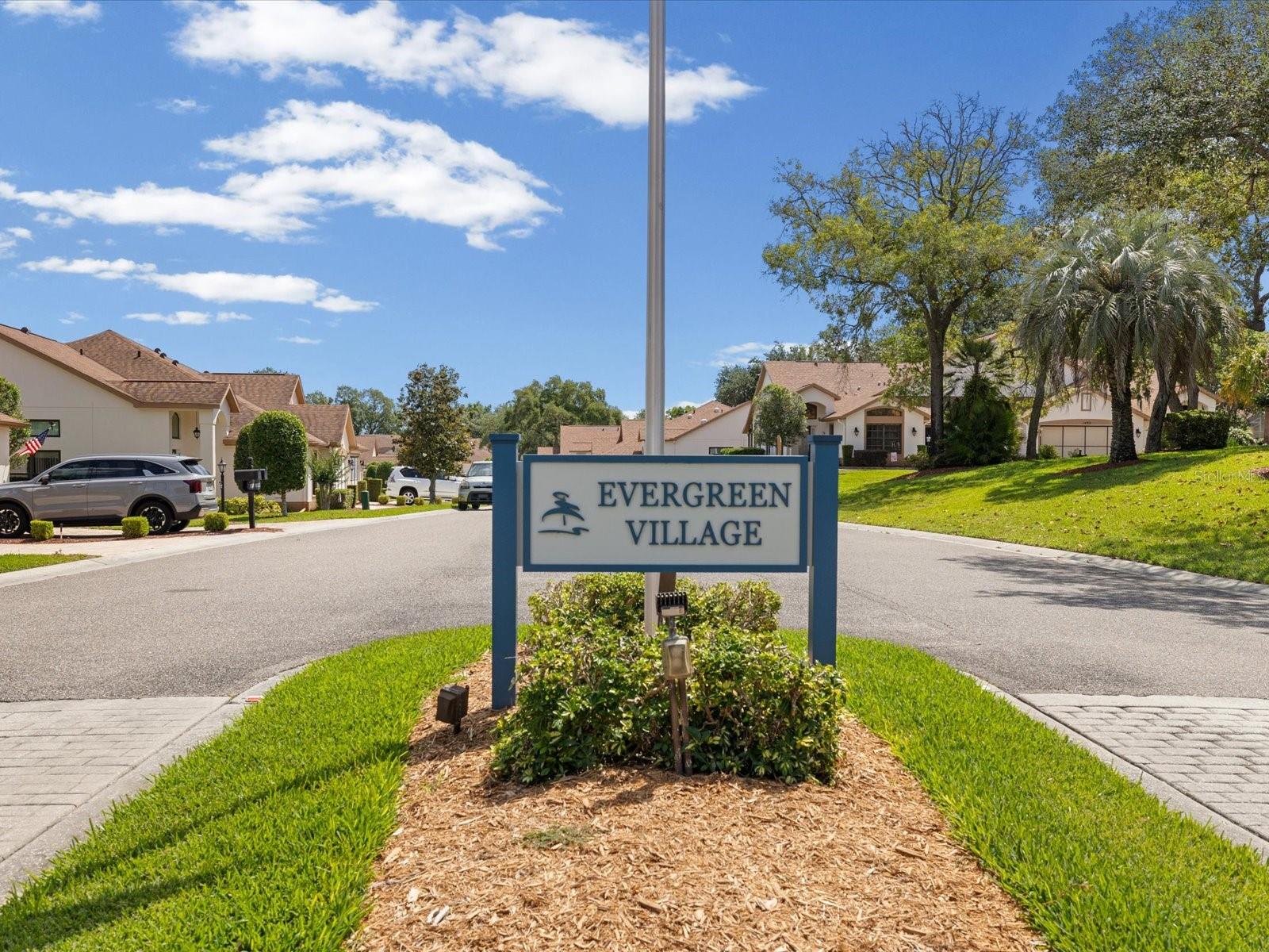 1462 SHADY BROOK CT, SPRING HILL, FL, 34606