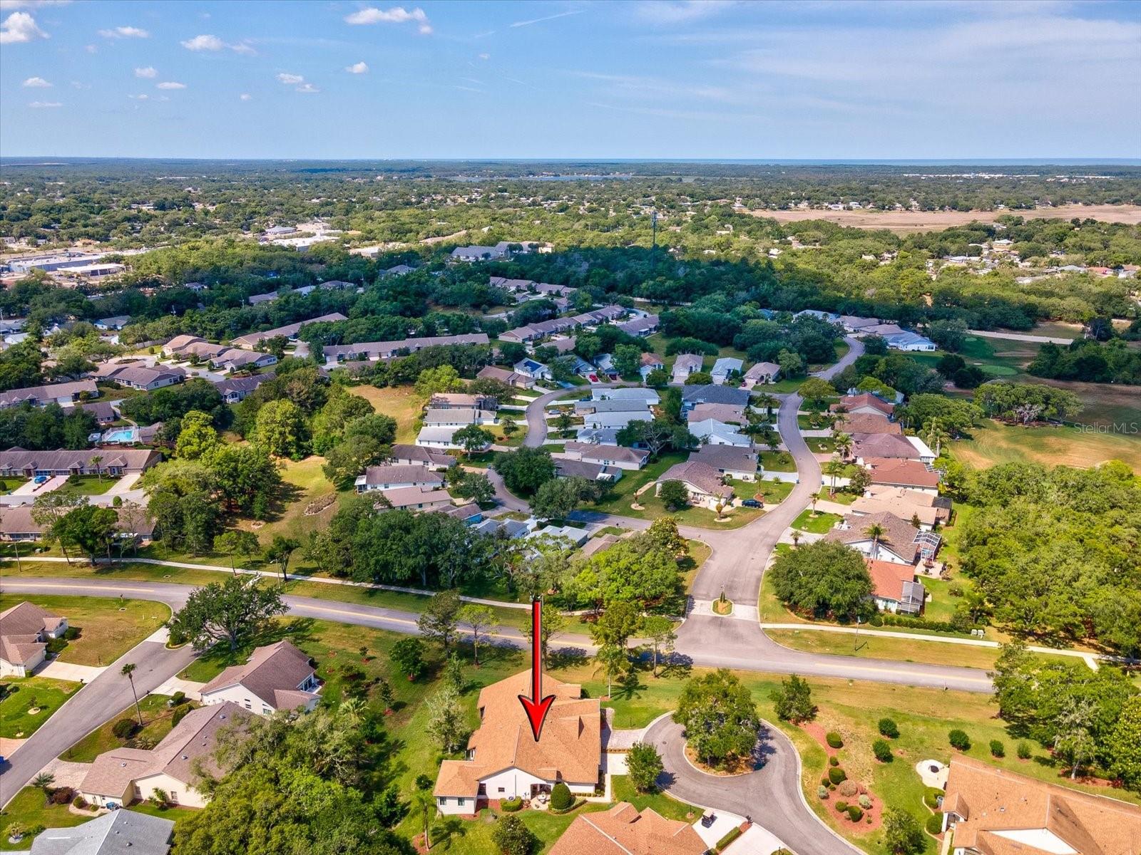 1462 SHADY BROOK CT, SPRING HILL, FL, 34606
