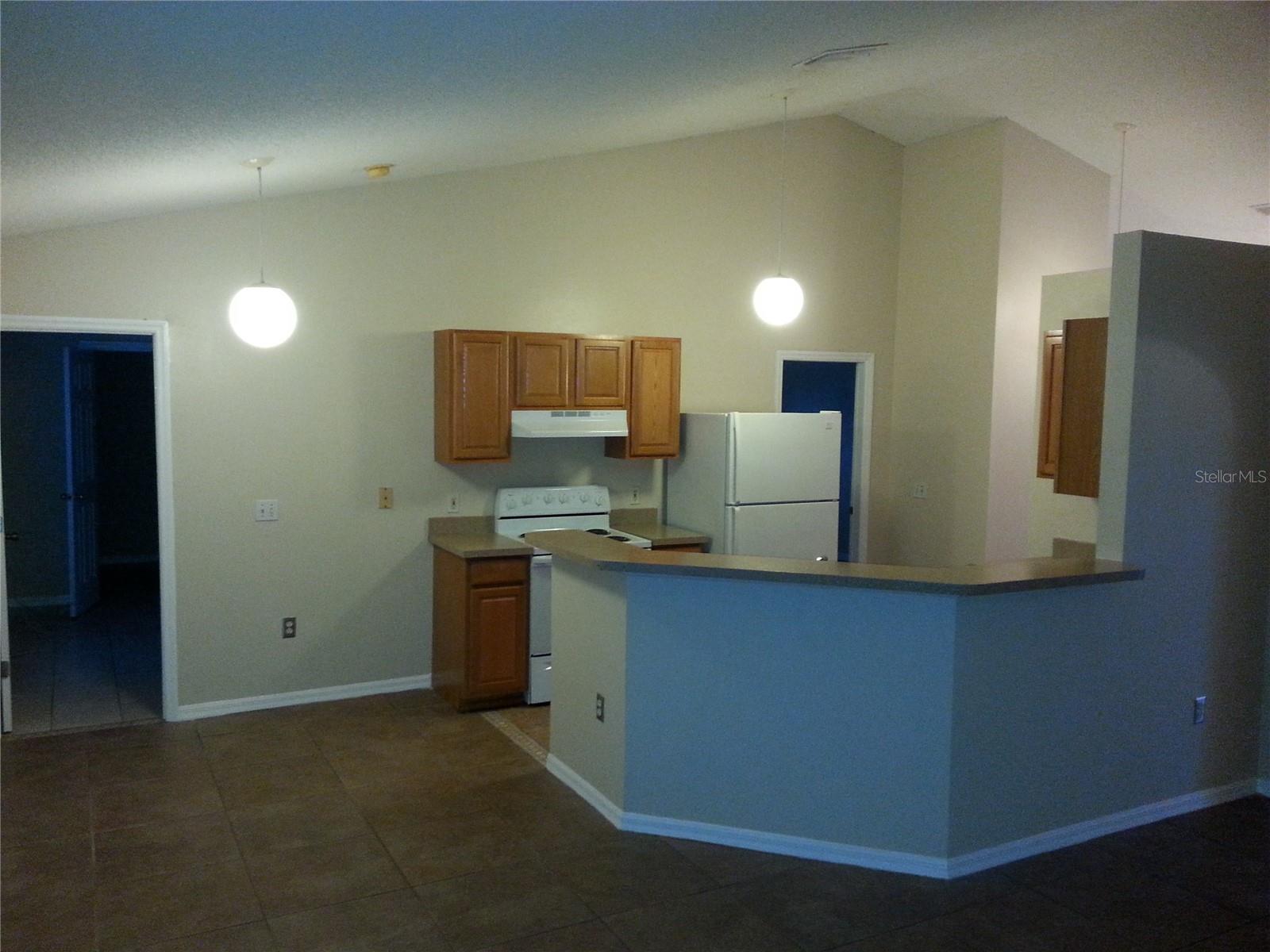 221 COBALT DR, KISSIMMEE, FL, 34758